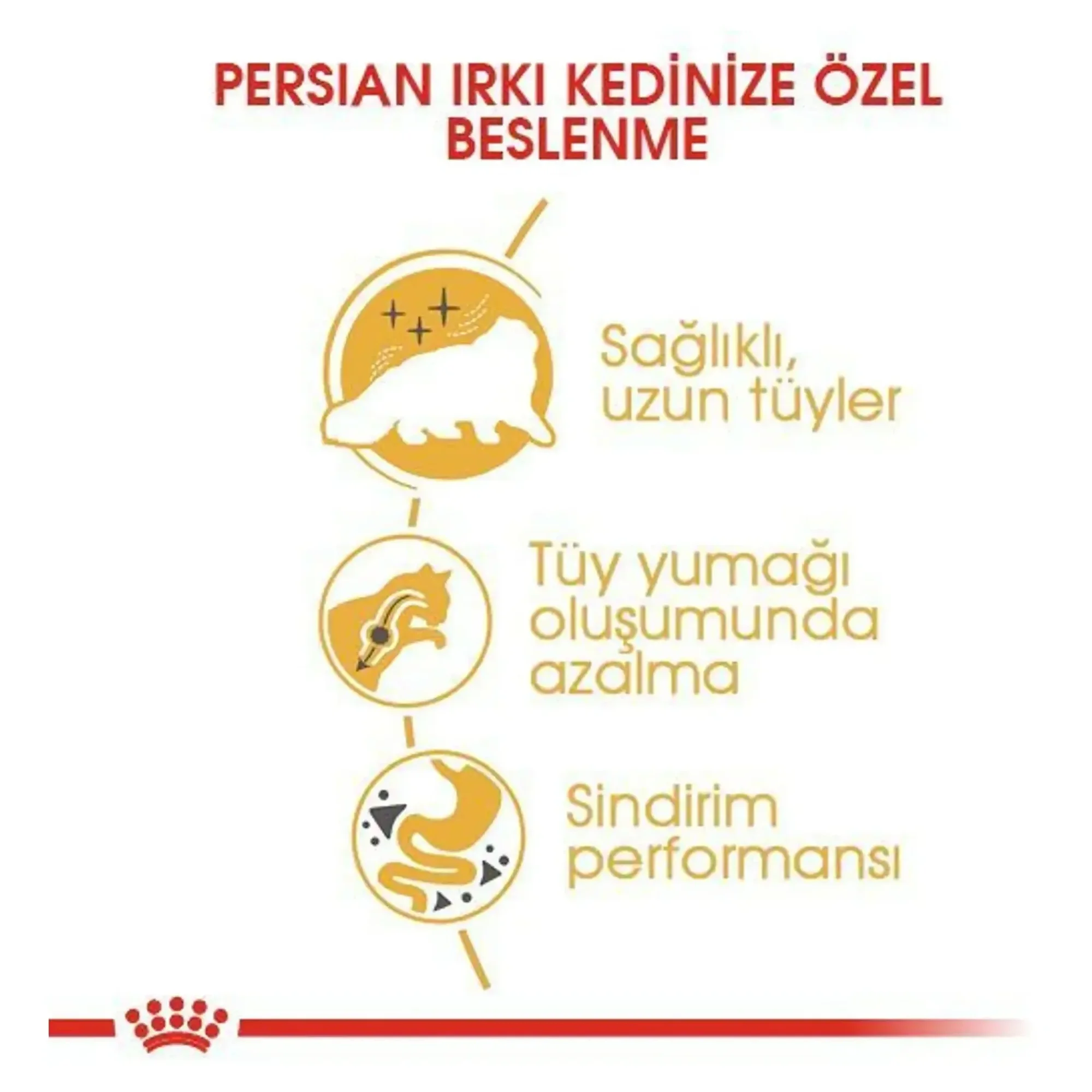 Royal Canin Royal Canin Persian İran Kedisi İçin Yetişkin Kedi Maması 400 G — Normal, 500 g — Görsel 4