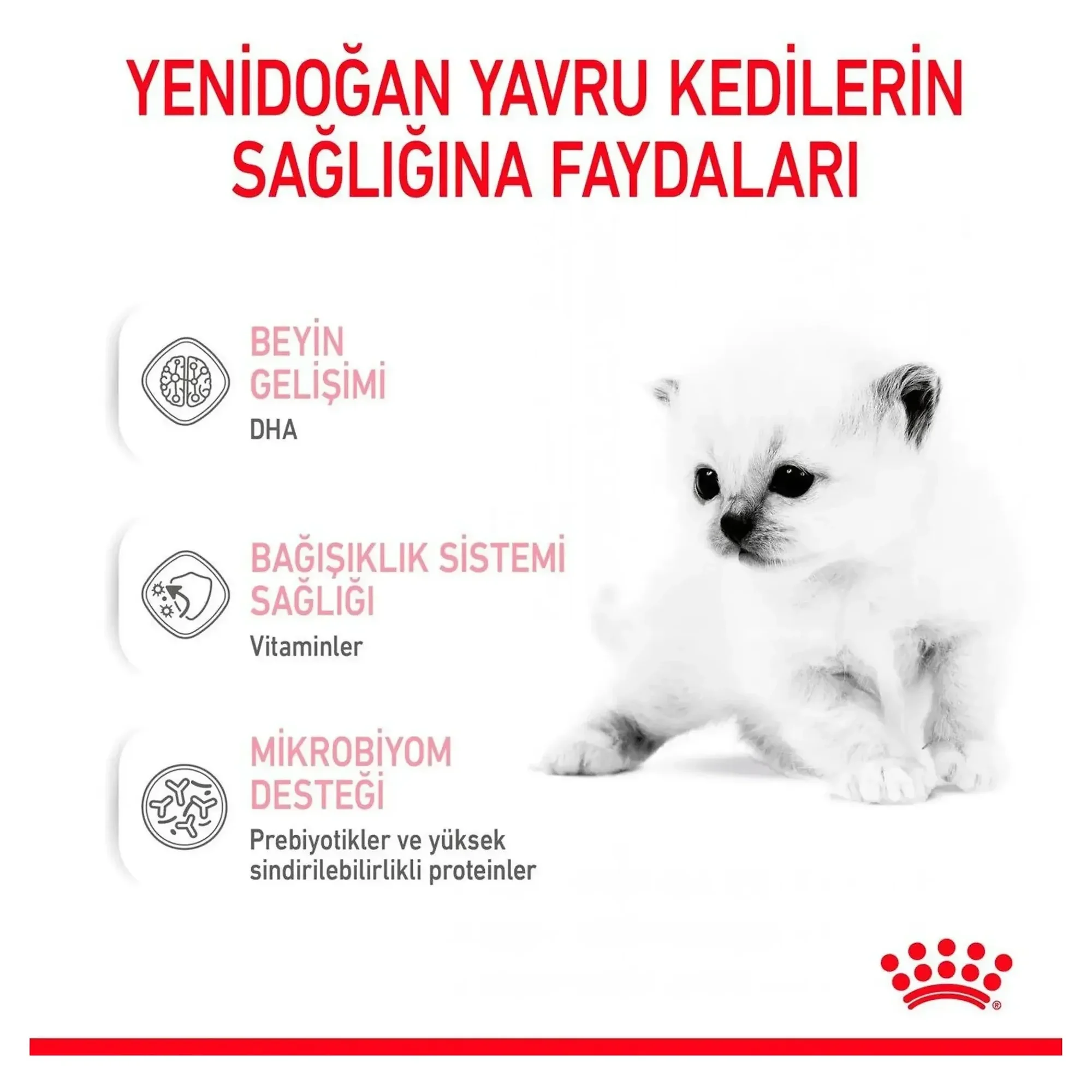 Royal Canin Royal Canin Babycat Milk Yavru Kedi Süt Tozu 300 G — Sağlık ve Bakım Ürünleri, 496 g — Görsel 4