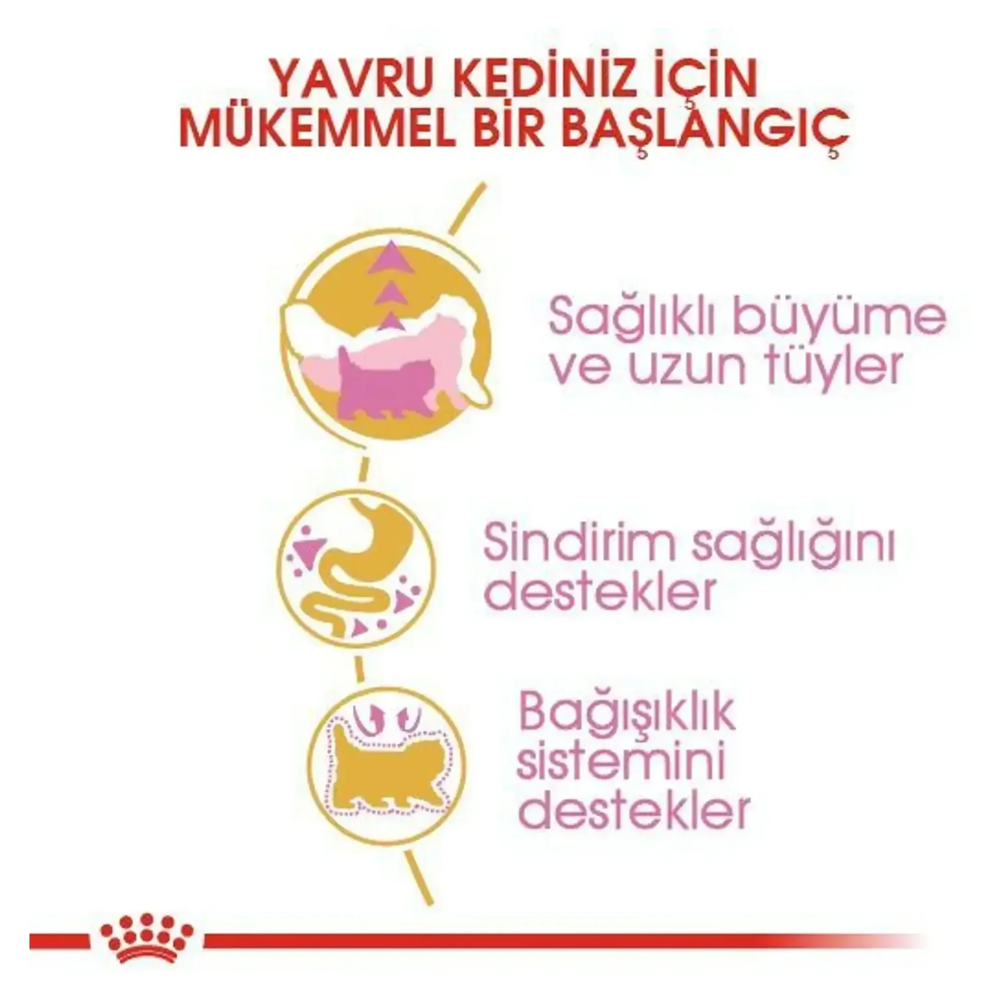Royal Canin Royal Canin Persian Kitten Yavru Kedi Maması 2 KG — Normal, 2.1 kg — Görsel 4