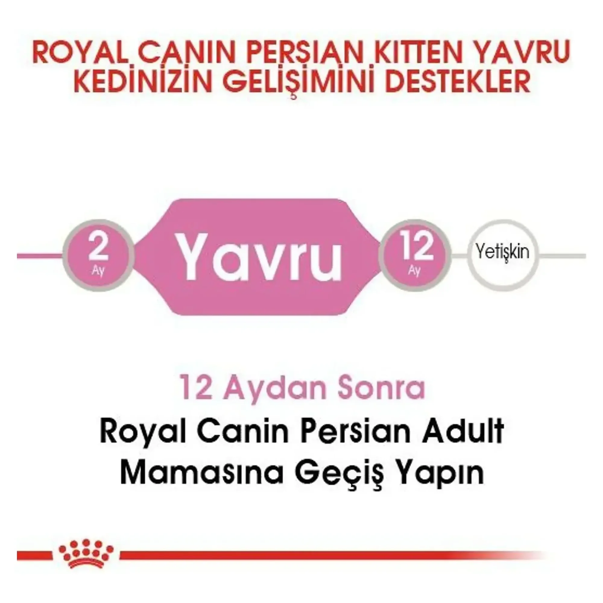 Royal Canin Royal Canin Persian Kitten Yavru Kedi Maması 2 KG — Normal, 2.1 kg — Görsel 5