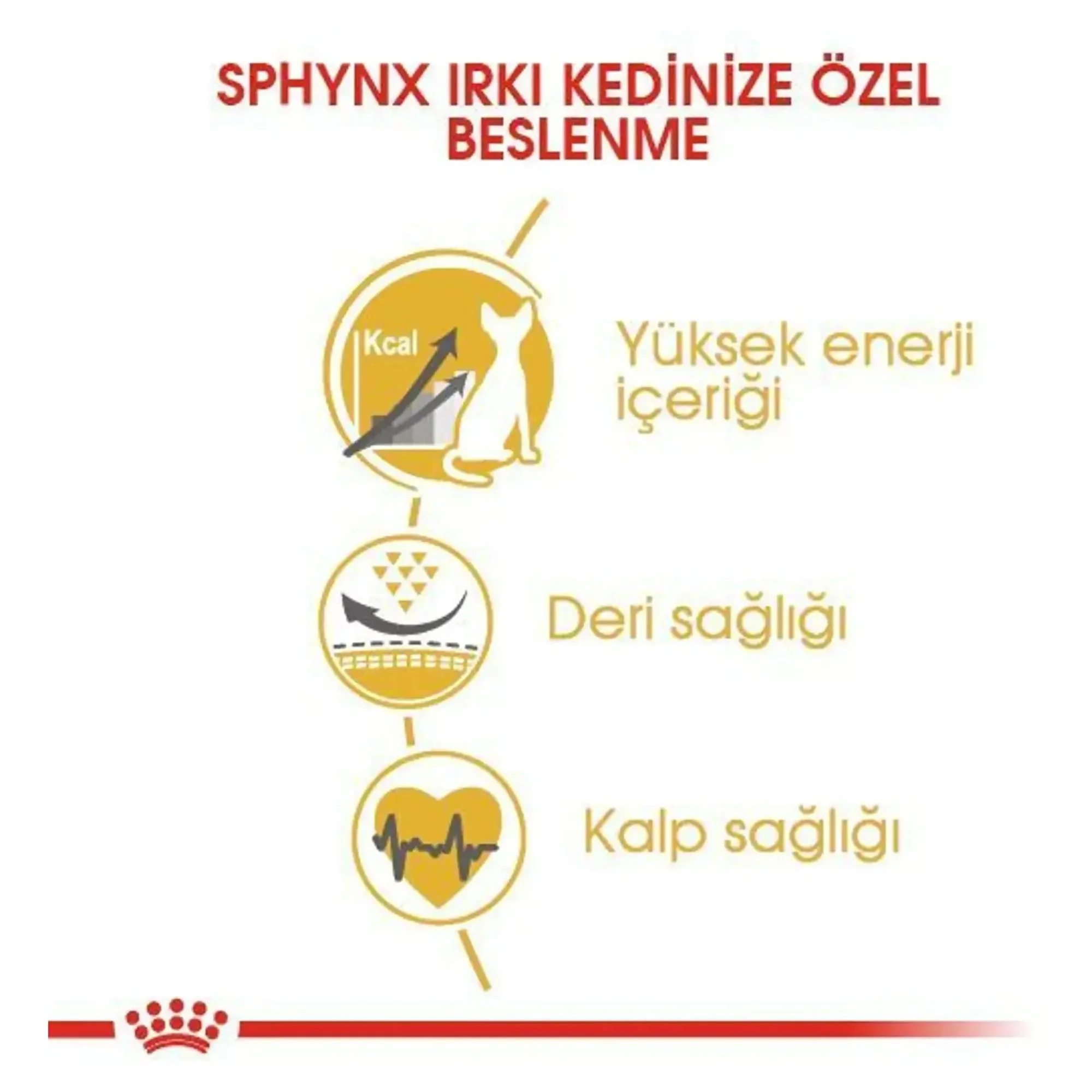 Royal Canin Royal Canin Sphynx Yetişkin Kedi Maması 2 Kg — Normal, 2.1 kg — Görsel 4