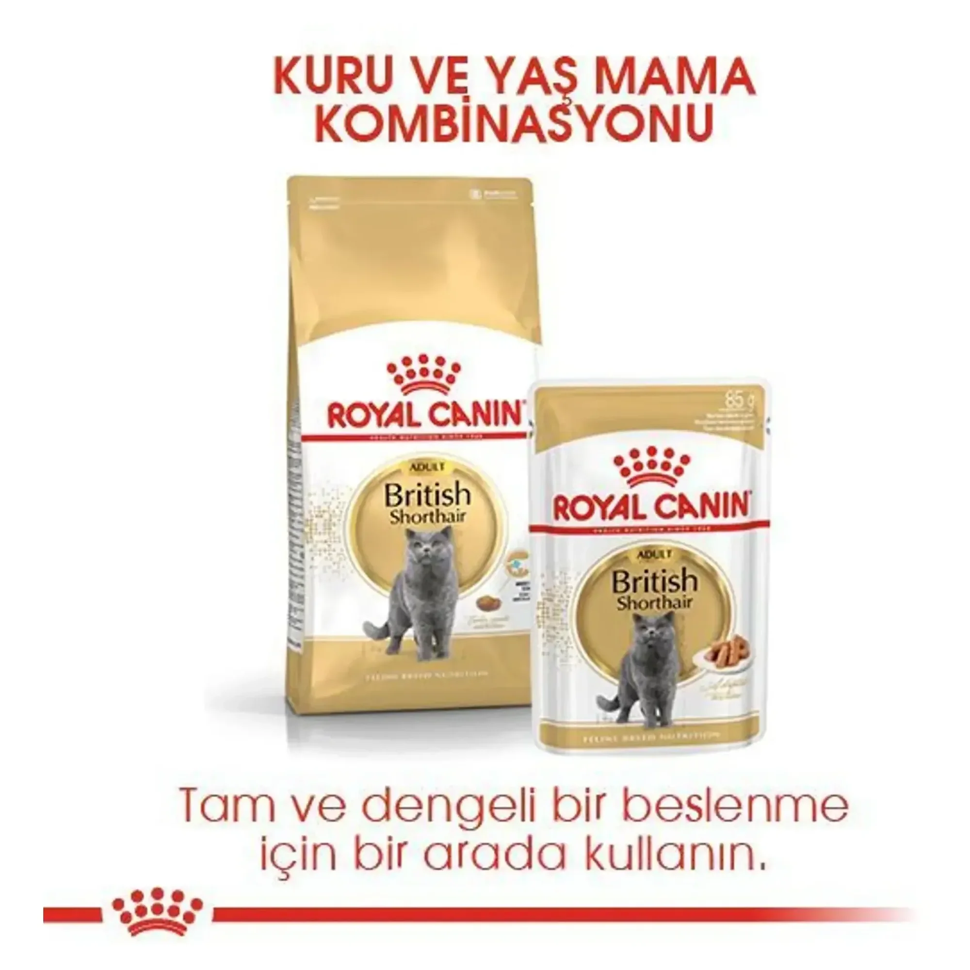 Royal Canin Royal Canin British Shorthair Yetişkin Kedi Maması 4 KG — Normal, 4.1 kg — Görsel 4
