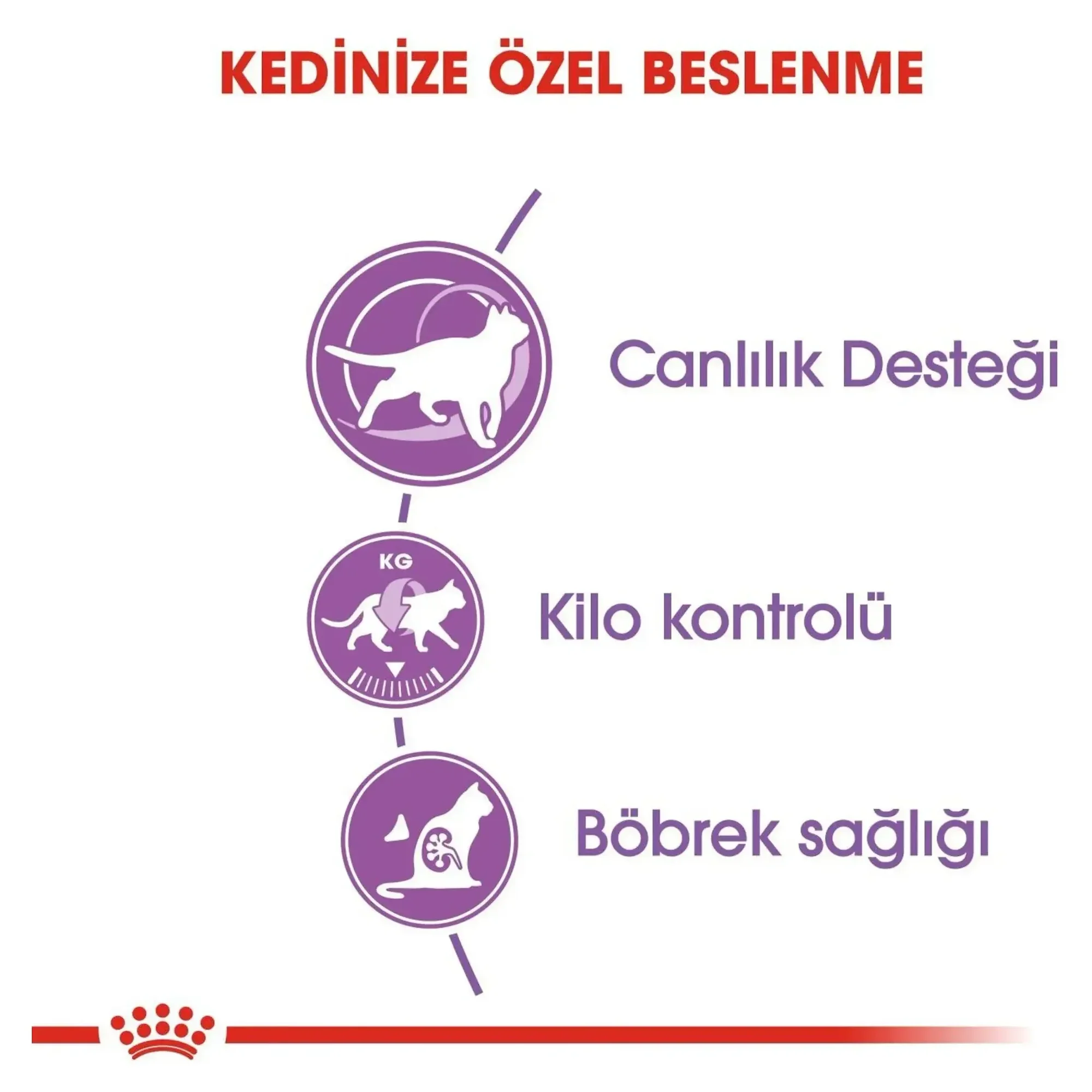 Royal Canin Royal Canin Sterilised +7 Yaş Üzeri Kısırlaştırılmış Yaşlı Kedi Maması 3.5 KG — 3.6 kg — Görsel 4