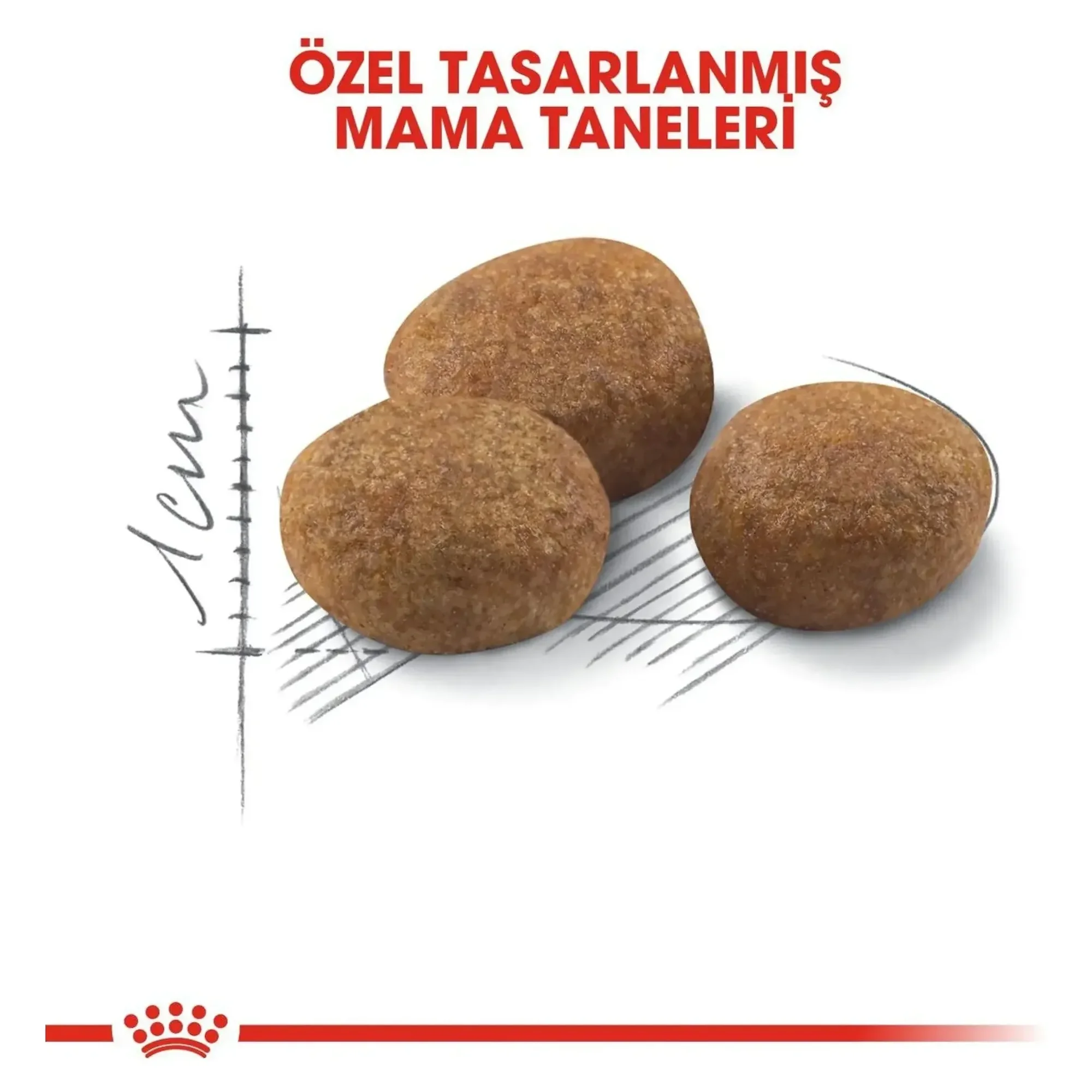 Royal Canin Royal Canin Sterilised +7 Yaş Üzeri Kısırlaştırılmış Yaşlı Kedi Maması 3.5 KG — 3.6 kg — Görsel 6