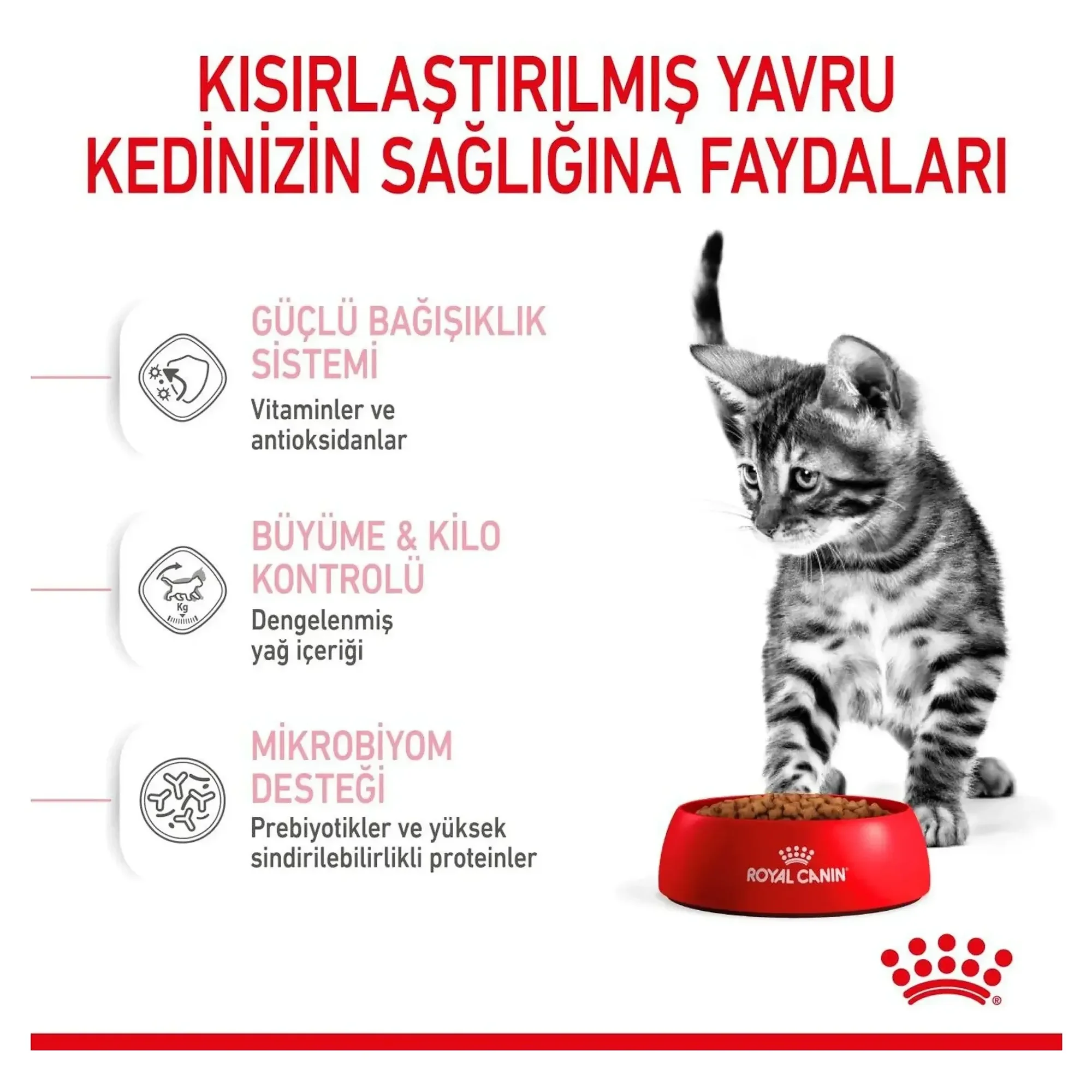 Royal Canin Royal Canin Sterilised Kitten Kısırlaştırılmış Yavru Kedi Maması 2 KG — 2.1 kg — Görsel 5