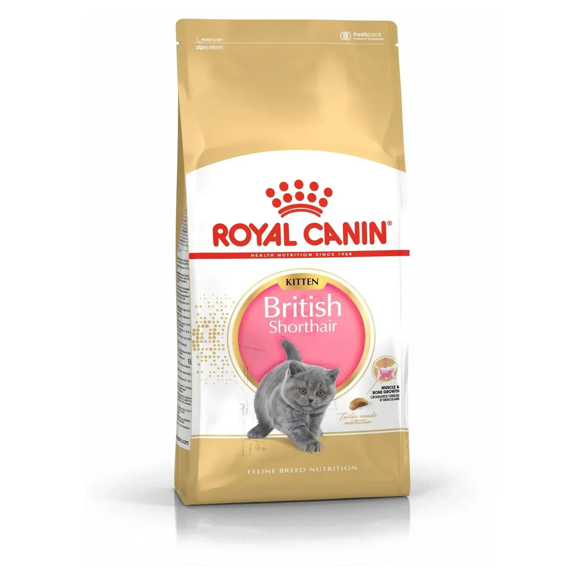 Royal Canin Royal Canin British Shorthair Kitten Yavru Kedi Maması 2 KG