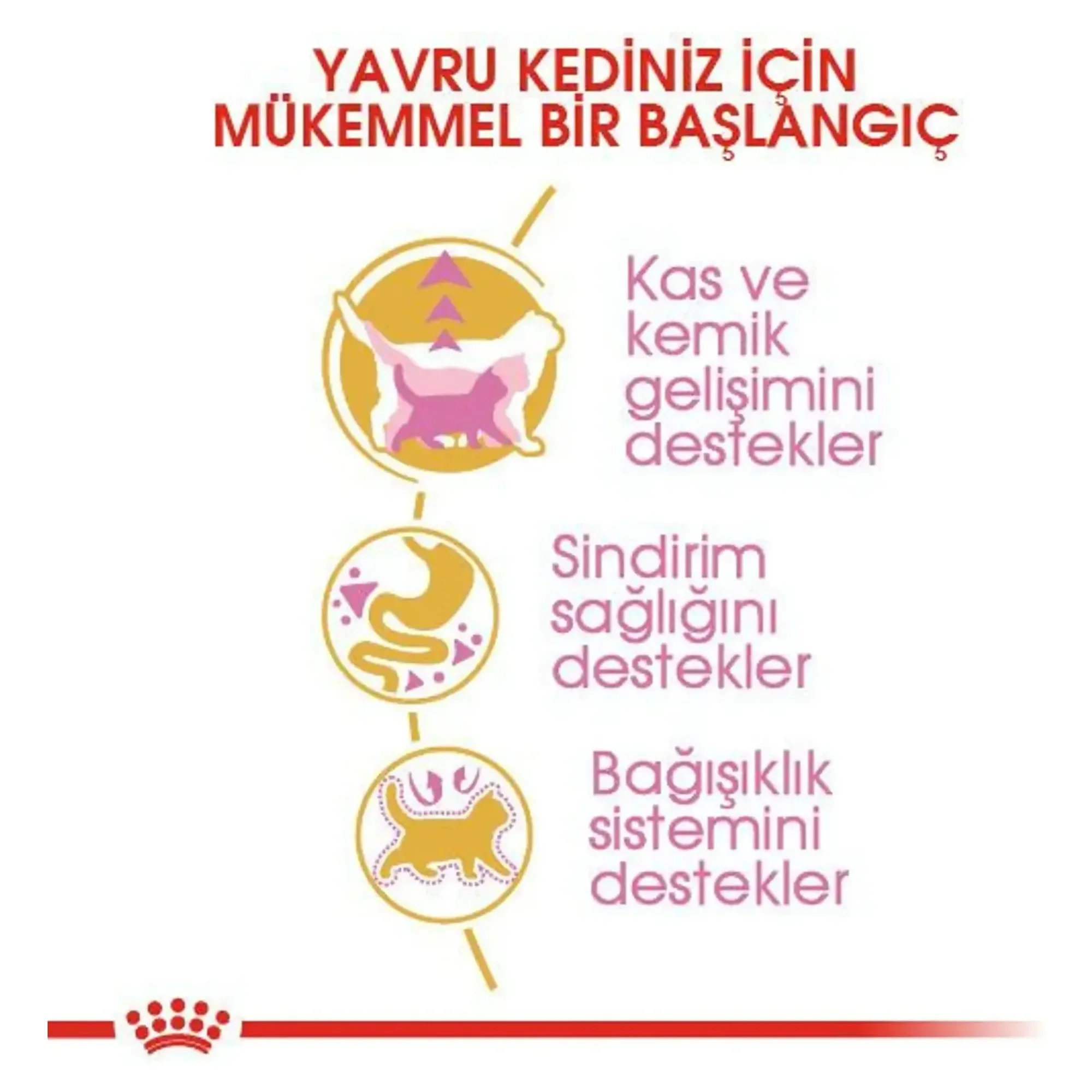 Royal Canin Royal Canin British Shorthair Kitten Yavru Kedi Maması 2 KG — Normal, 2.1 kg — Görsel 3