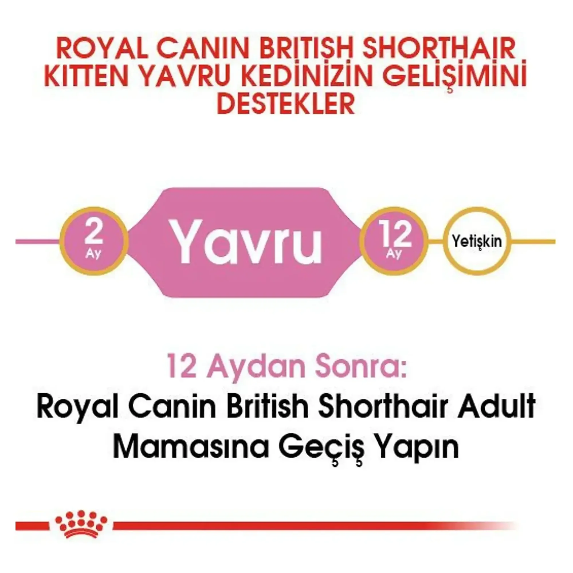 Royal Canin Royal Canin British Shorthair Kitten Yavru Kedi Maması 2 KG — Normal, 2.1 kg — Görsel 4