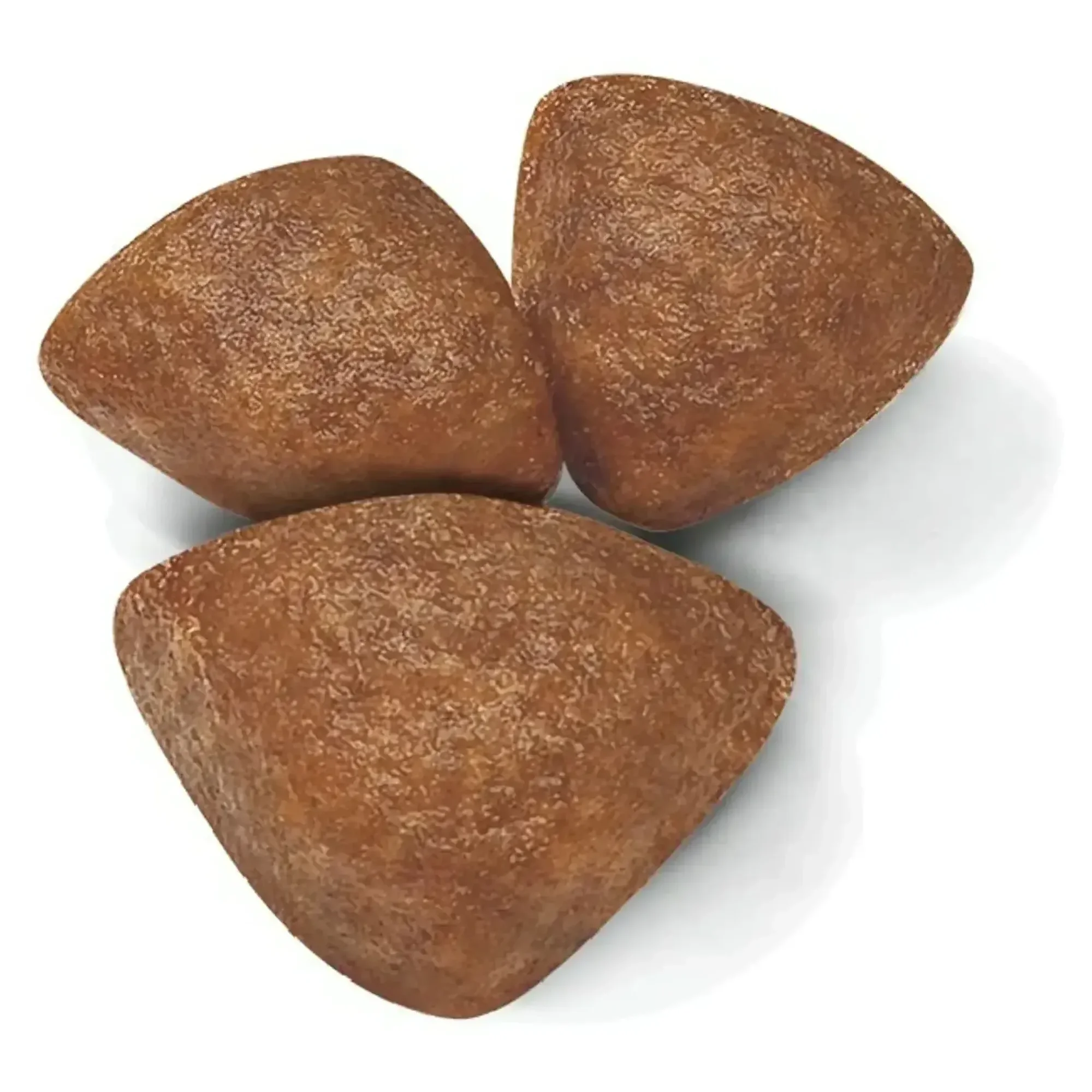 Royal Canin Royal Canin Mini Starter Anne ve Yavru Köpek Maması 1 KG — Normal, 1 kg — Görsel 2
