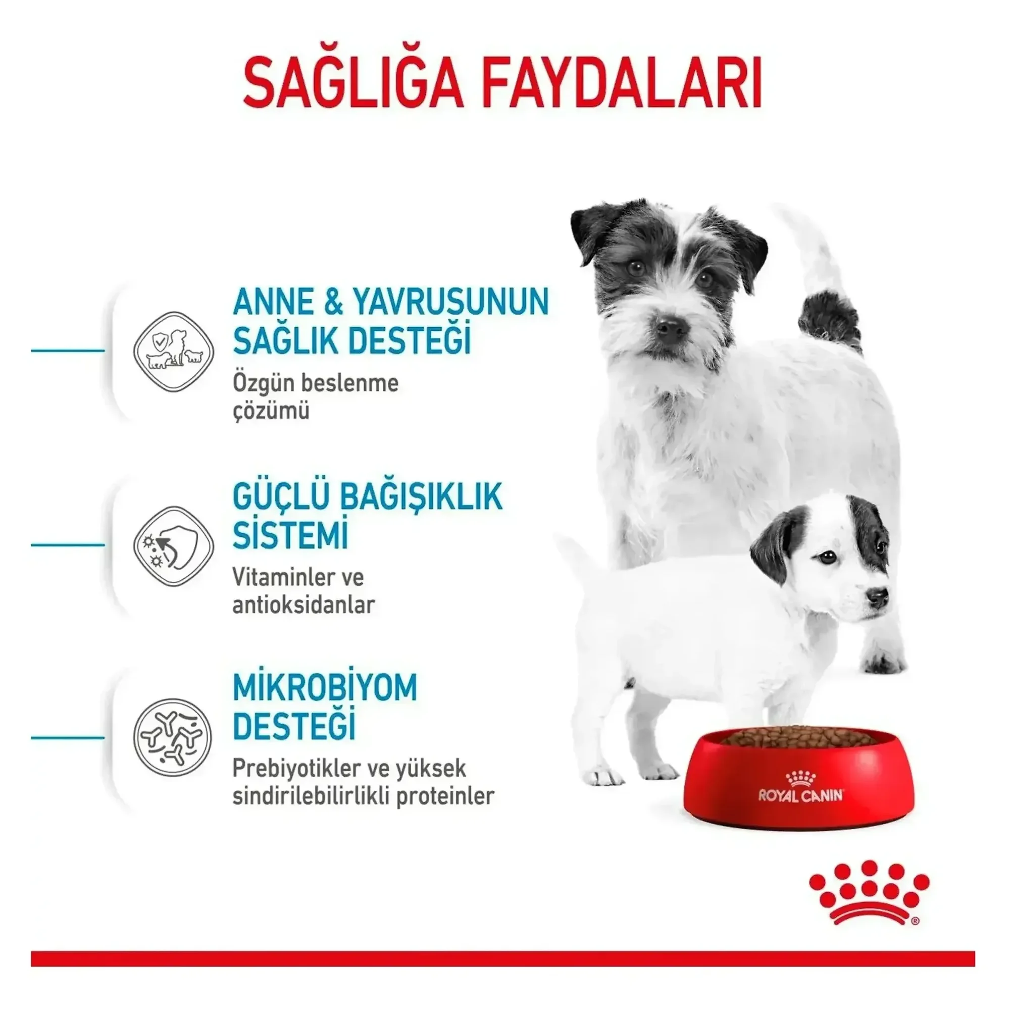 Royal Canin Royal Canin Mini Starter Anne ve Yavru Köpek Maması 1 KG — Normal, 1 kg — Görsel 5