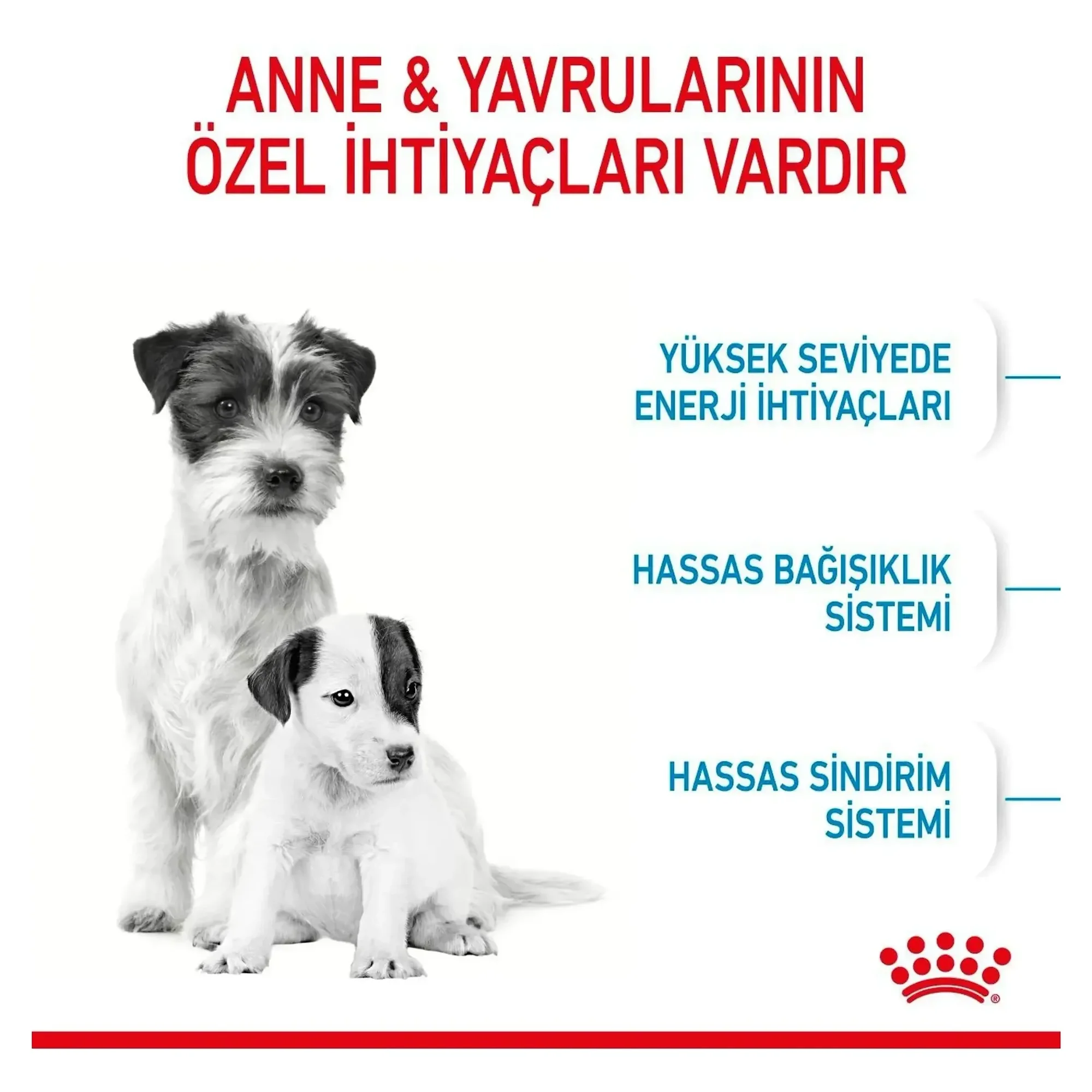 Royal Canin Royal Canin Mini Starter Mother&Babydog Küçük Irk Yavru Köpek Maması 4 KG — Normal, 4.1 kg — Görsel 4