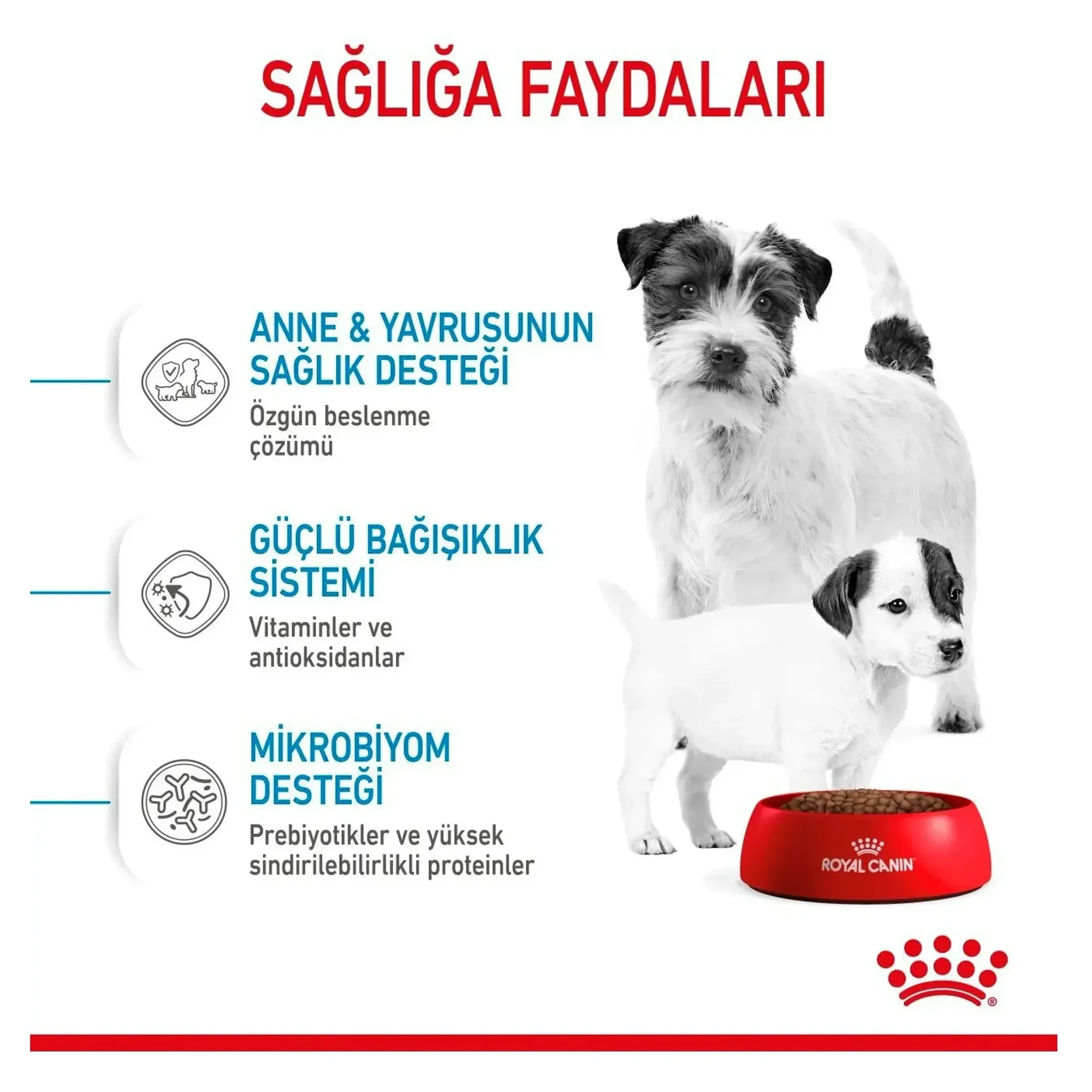 Royal Canin Royal Canin Mini Starter Mother&Babydog Küçük Irk Yavru Köpek Maması 4 KG — Normal, 4.1 kg — Görsel 5