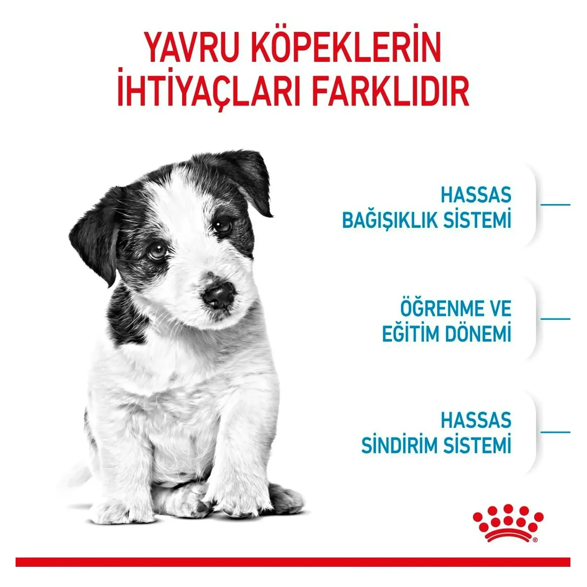 Royal Canin Royal Canin Mini Puppy Yavru Köpek Maması 2 KG — Normal, 2.1 kg — Görsel 4