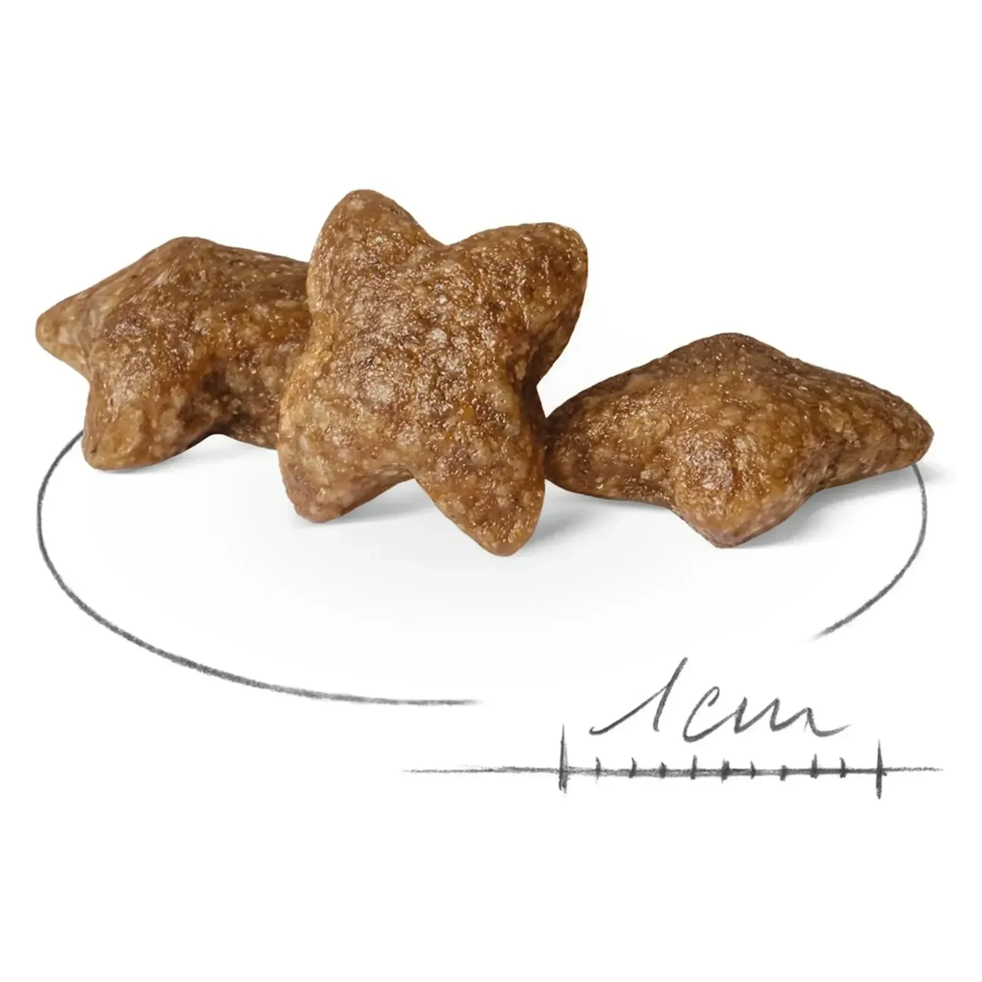 Royal Canin Royal Canin Mini Adult Yetişkin Köpek Maması 2 KG — Normal, 2.1 kg — Görsel 2