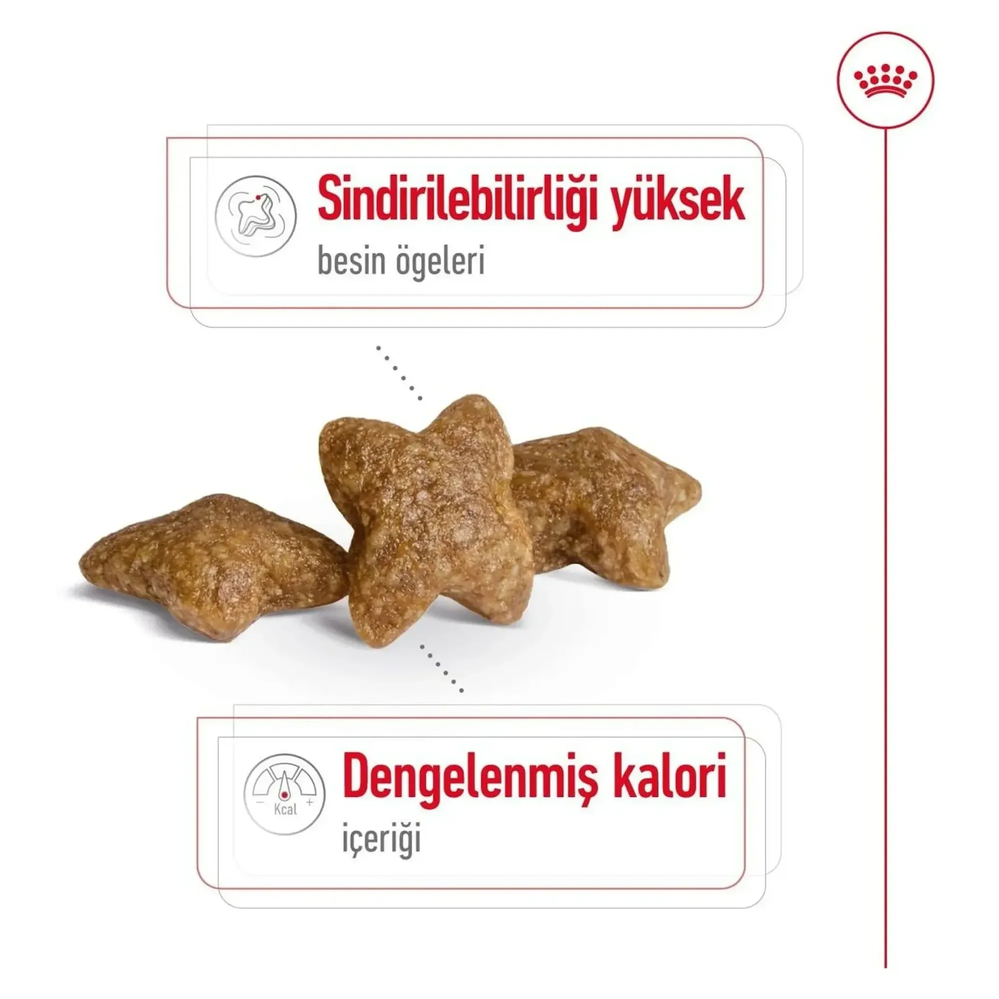 Royal Canin Royal Canin Mini Adult Yetişkin Köpek Maması 8 KG — Normal, 8.2 kg — Görsel 6