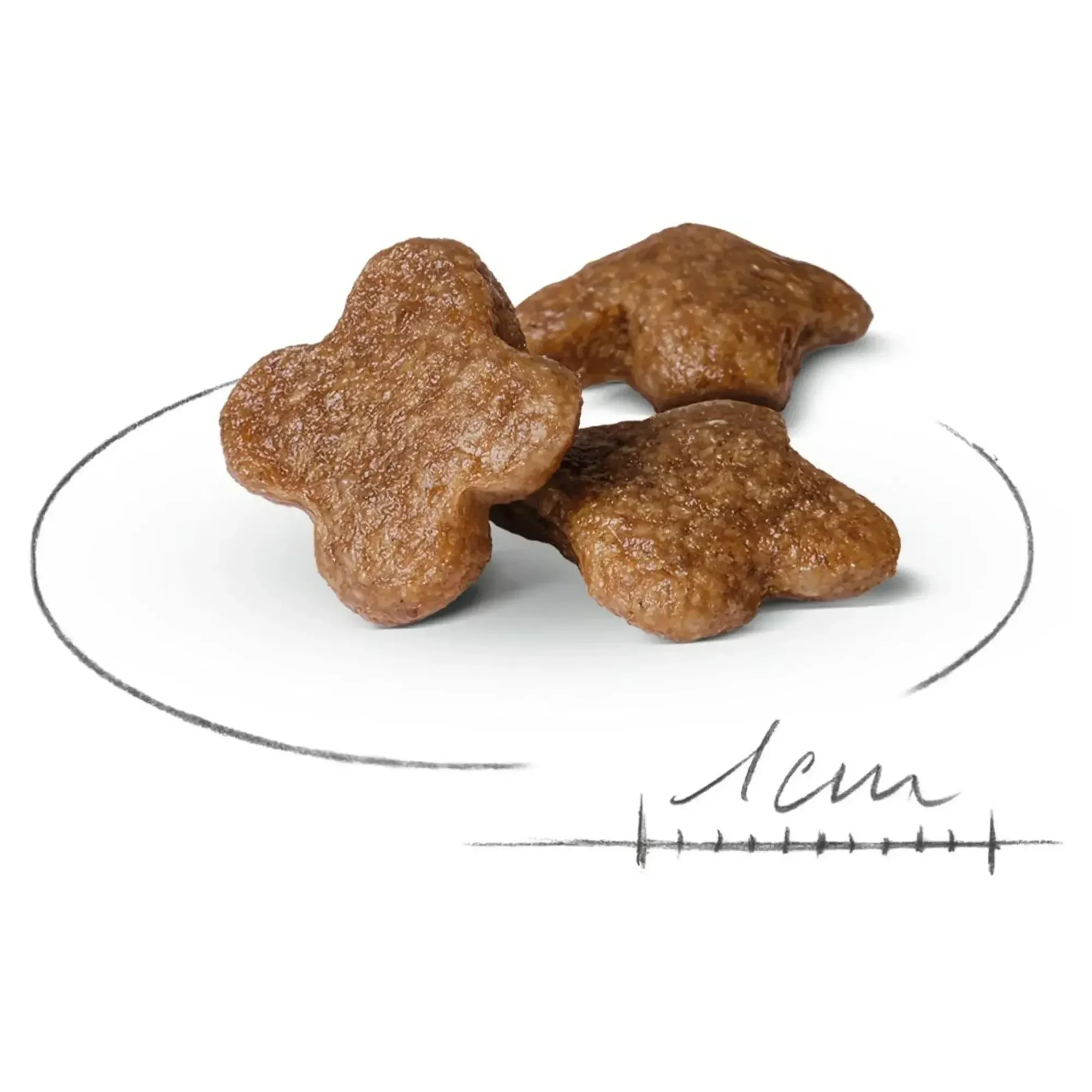 Royal Canin Royal Canin Mini Adult Yetişkin Köpek Maması 8+ 2 KG — Normal, 2.1 kg — Görsel 2