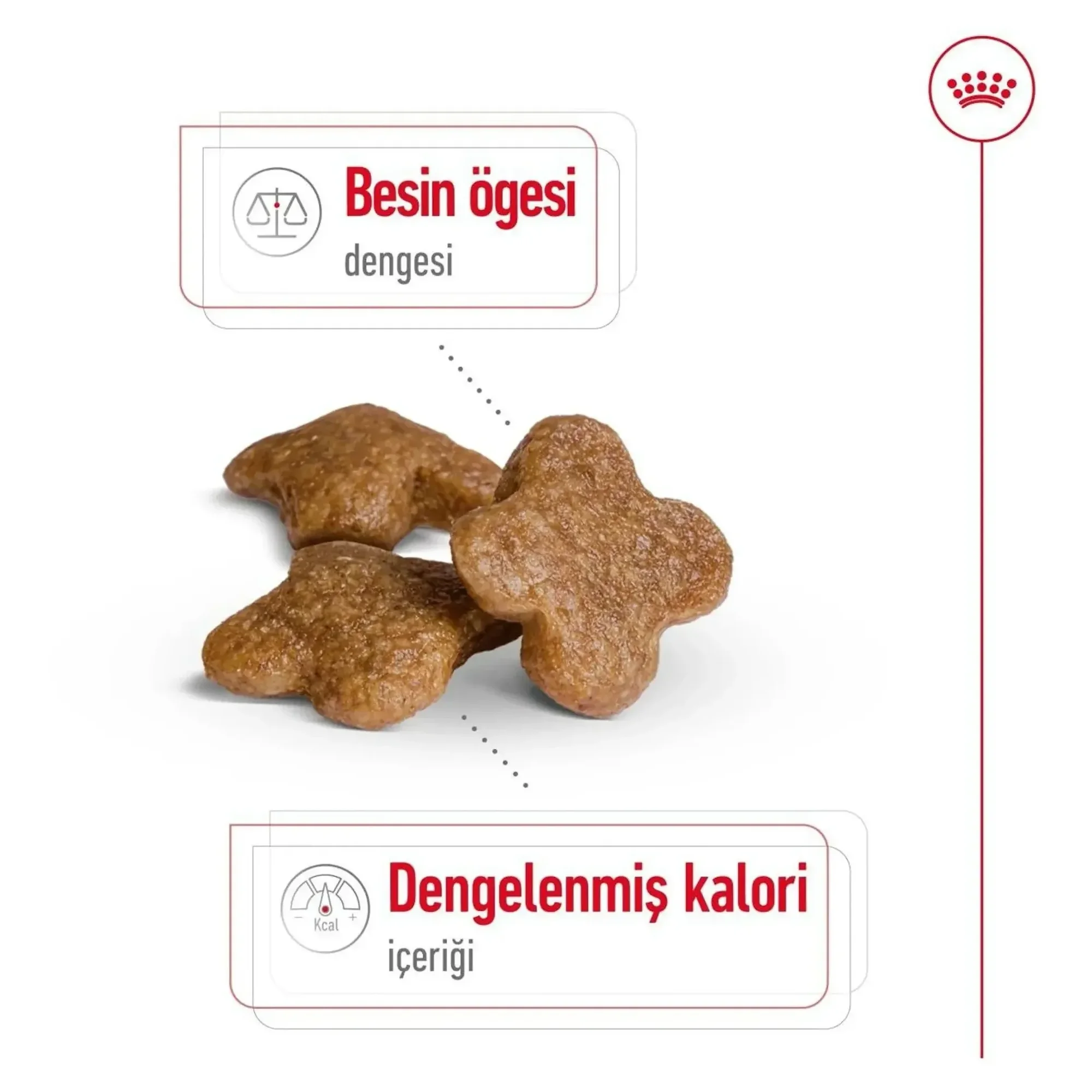Royal Canin Royal Canin Mini Adult Yetişkin Köpek Maması 8+ 2 KG — Normal, 2.1 kg — Görsel 5