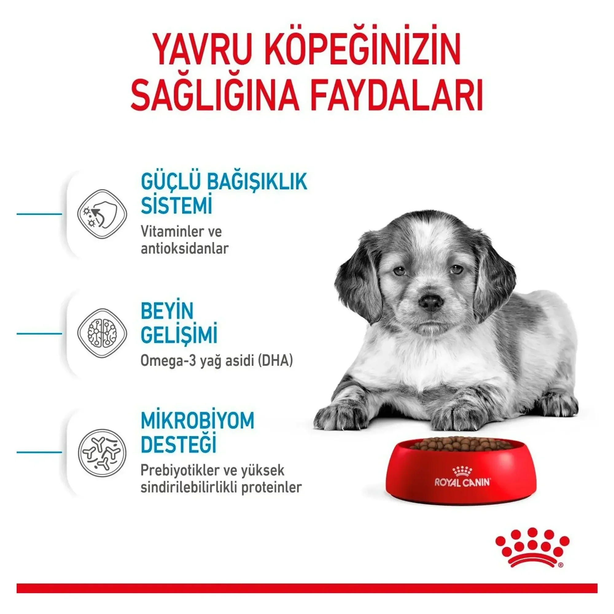 Royal Canin Royal Canin Medium Puppy Orta Irk Yavru Köpek Maması 15KG — Normal, 15.3 kg — Görsel 5