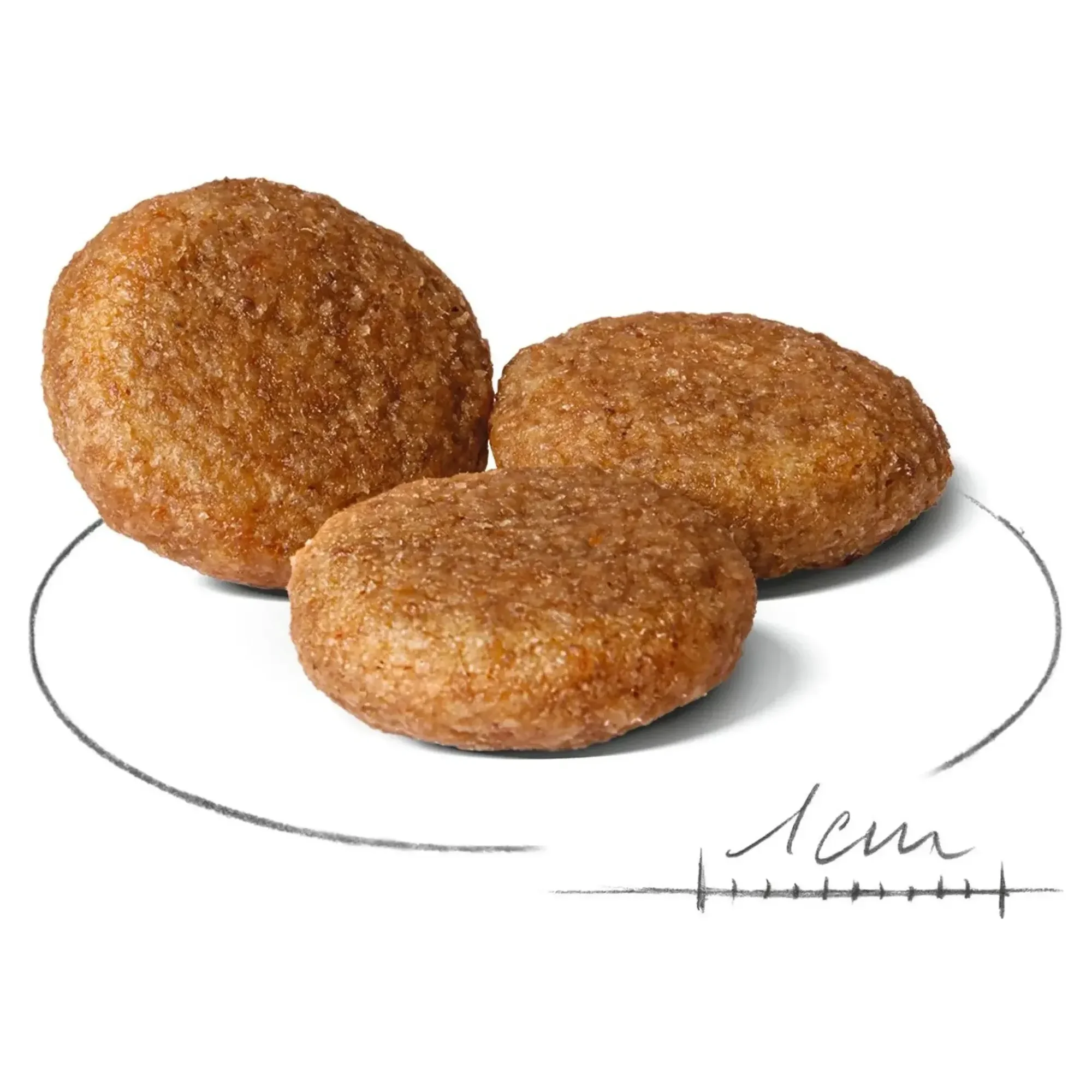 Royal Canin Royal Canin Medium Adult Orta Irk Yetişkin Köpek Maması 15KG — Normal, 15.3 kg — Görsel 2