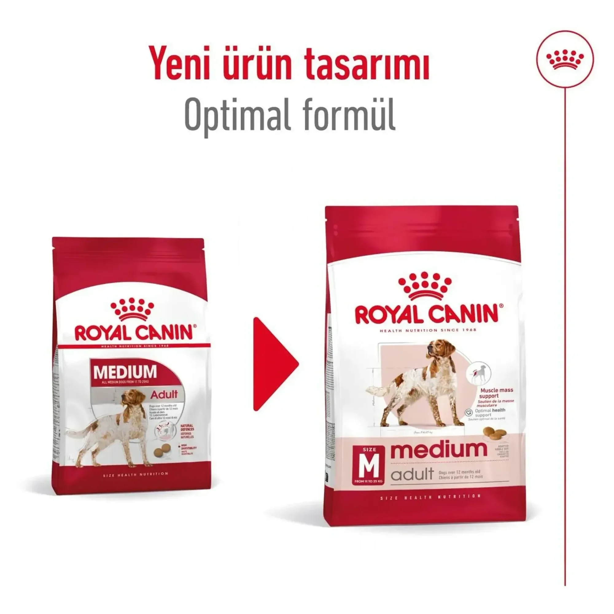 Royal Canin Royal Canin Medium Adult Orta Irk Yetişkin Köpek Maması 15KG — Normal, 15.3 kg — Görsel 5