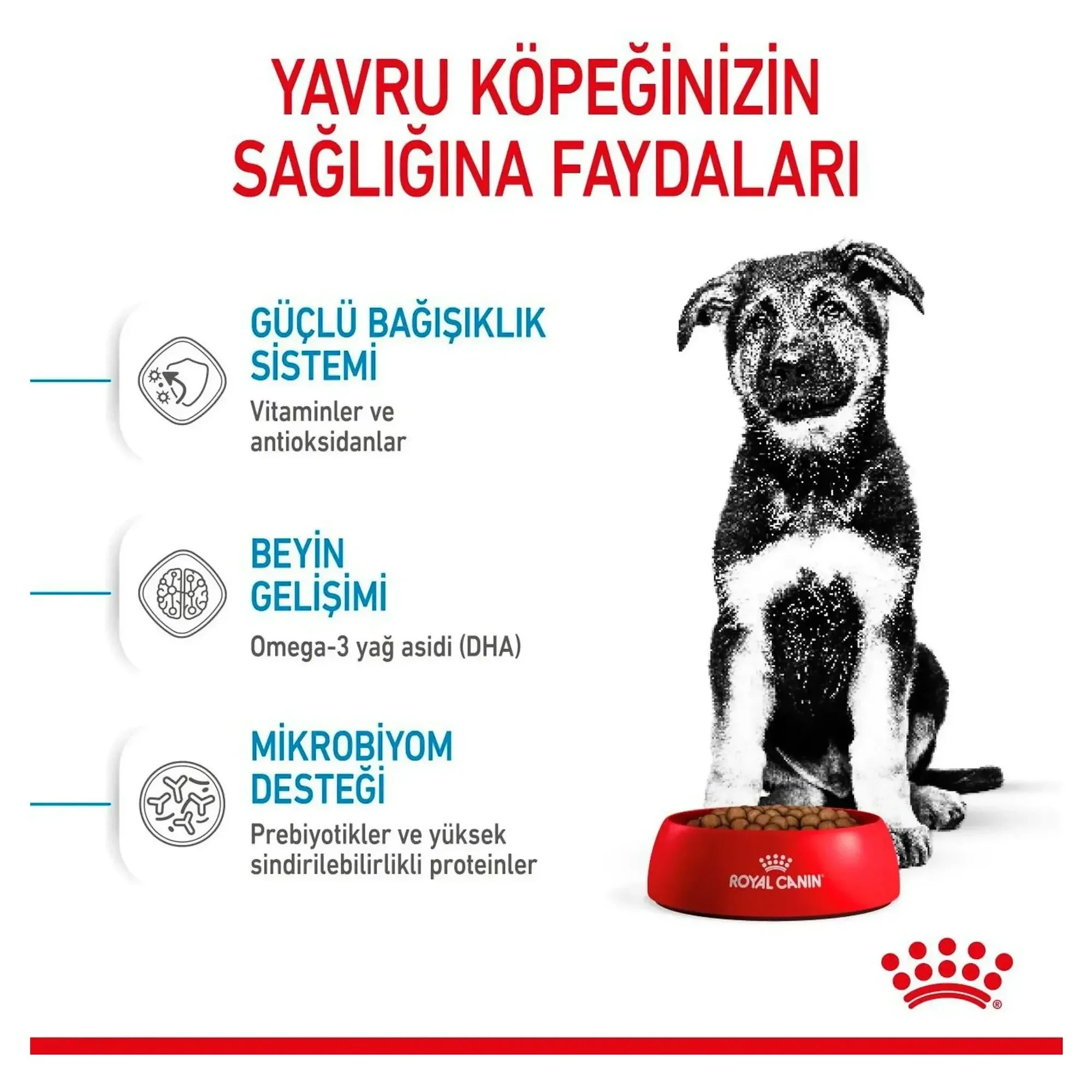 Royal Canin Royal Canin Maxi Puppy Yavru Köpek Maması 15 KG — Normal, 15.3 kg — Görsel 6
