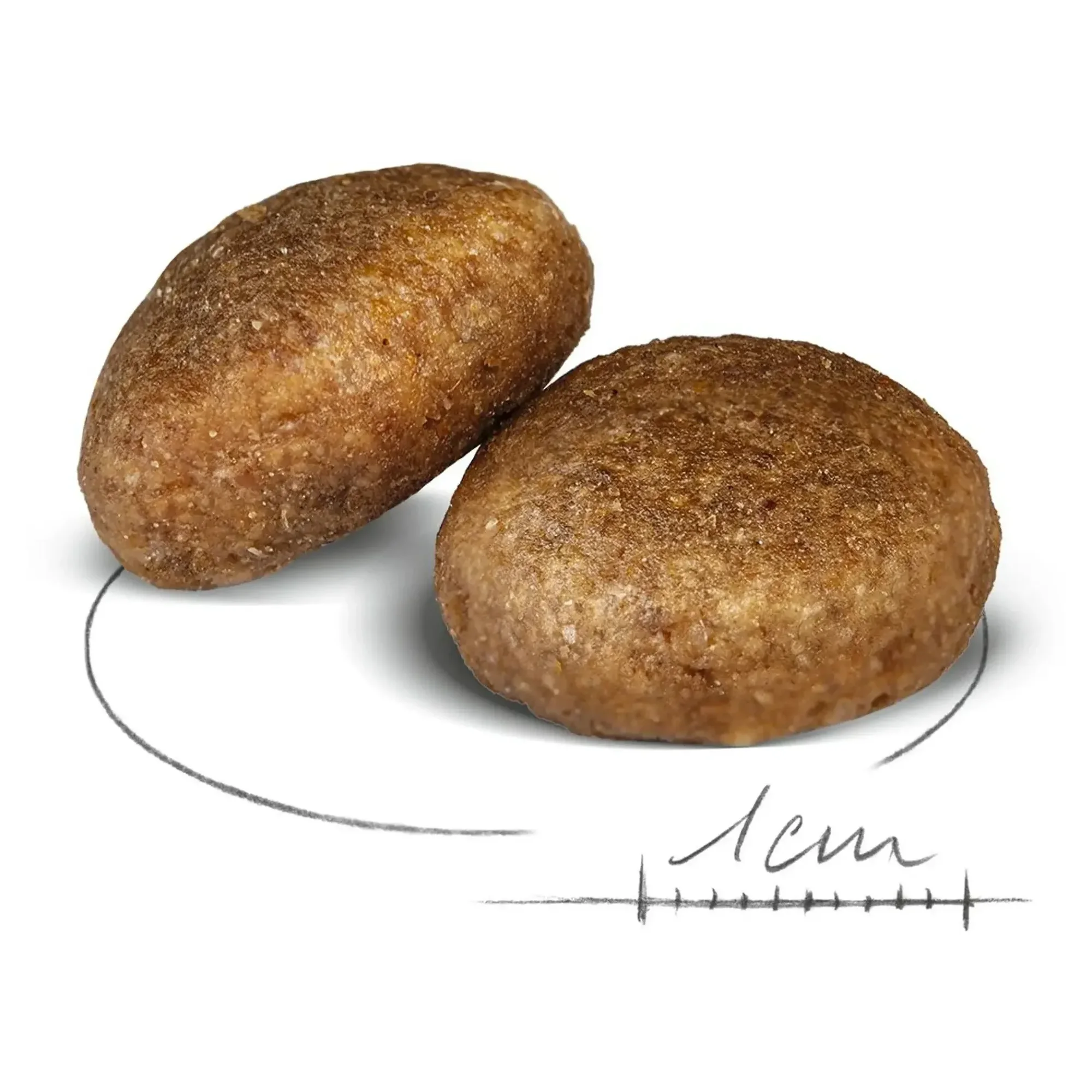 Royal Canin Royal Canin Maxi Adult Yetişkin Köpek Maması 15 KG — Normal, 15.2 kg — Görsel 2