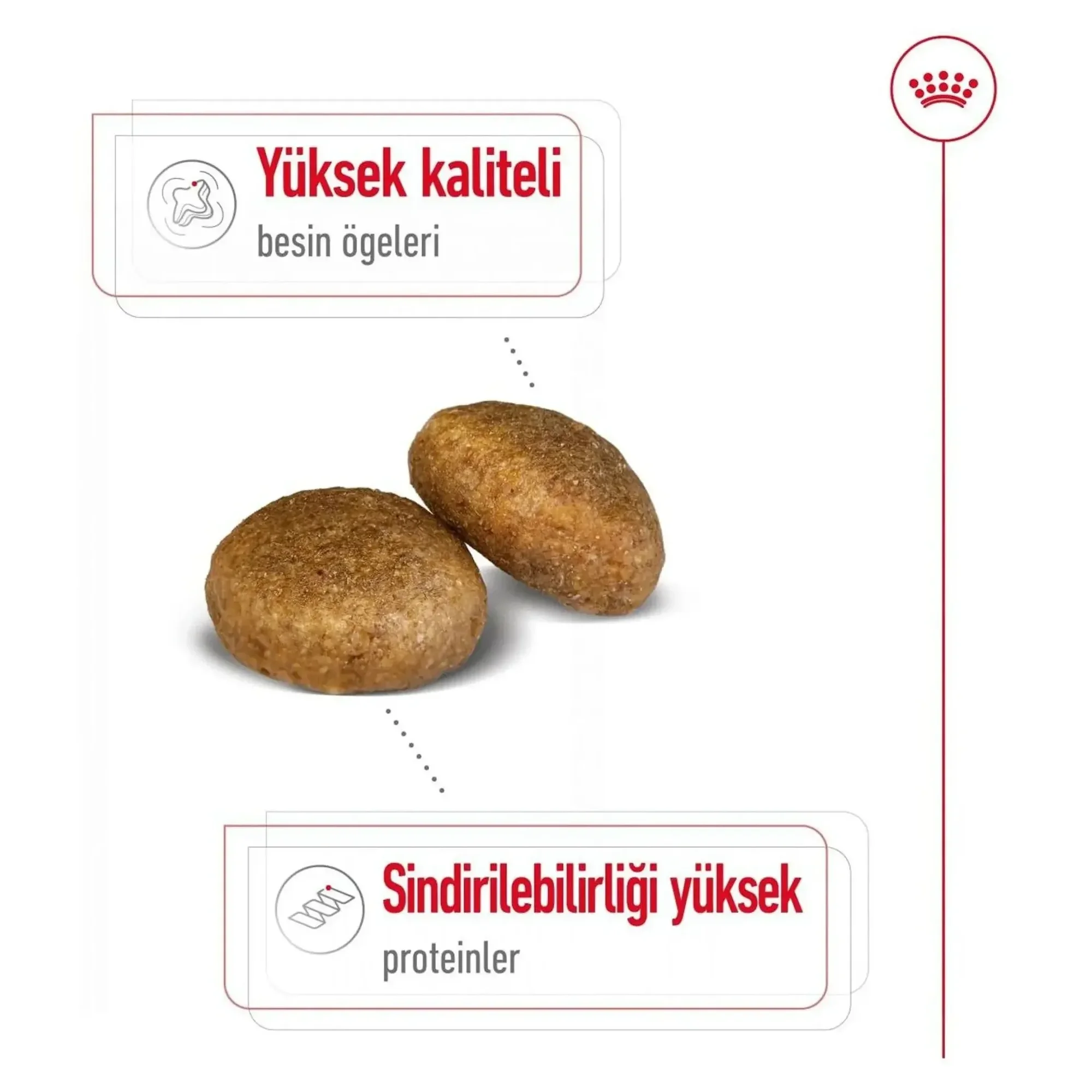Royal Canin Royal Canin Maxi Adult Yetişkin Köpek Maması 15 KG — Normal, 15.2 kg — Görsel 4