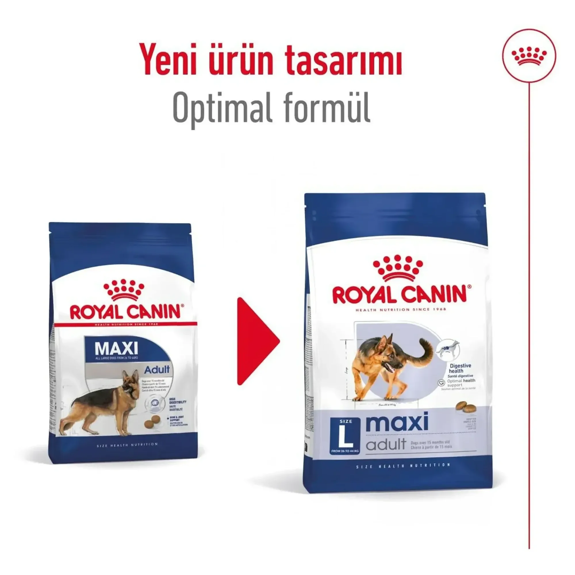 Royal Canin Royal Canin Maxi Adult Yetişkin Köpek Maması 15 KG — Normal, 15.2 kg — Görsel 6