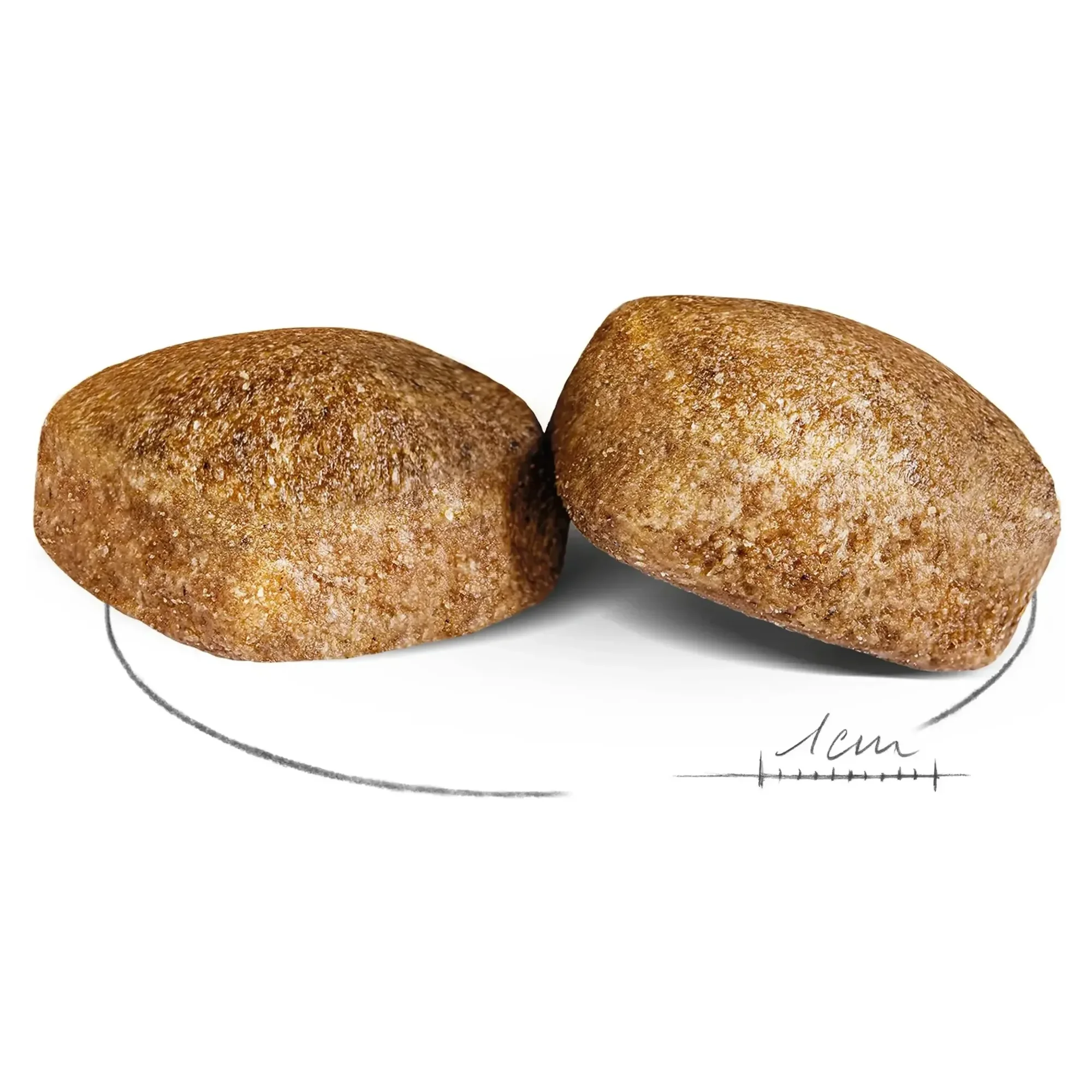 Royal Canin Royal Canin Giant Adult Yetişkin Köpek Maması 15 KG — Normal, 15.2 kg — Görsel 2