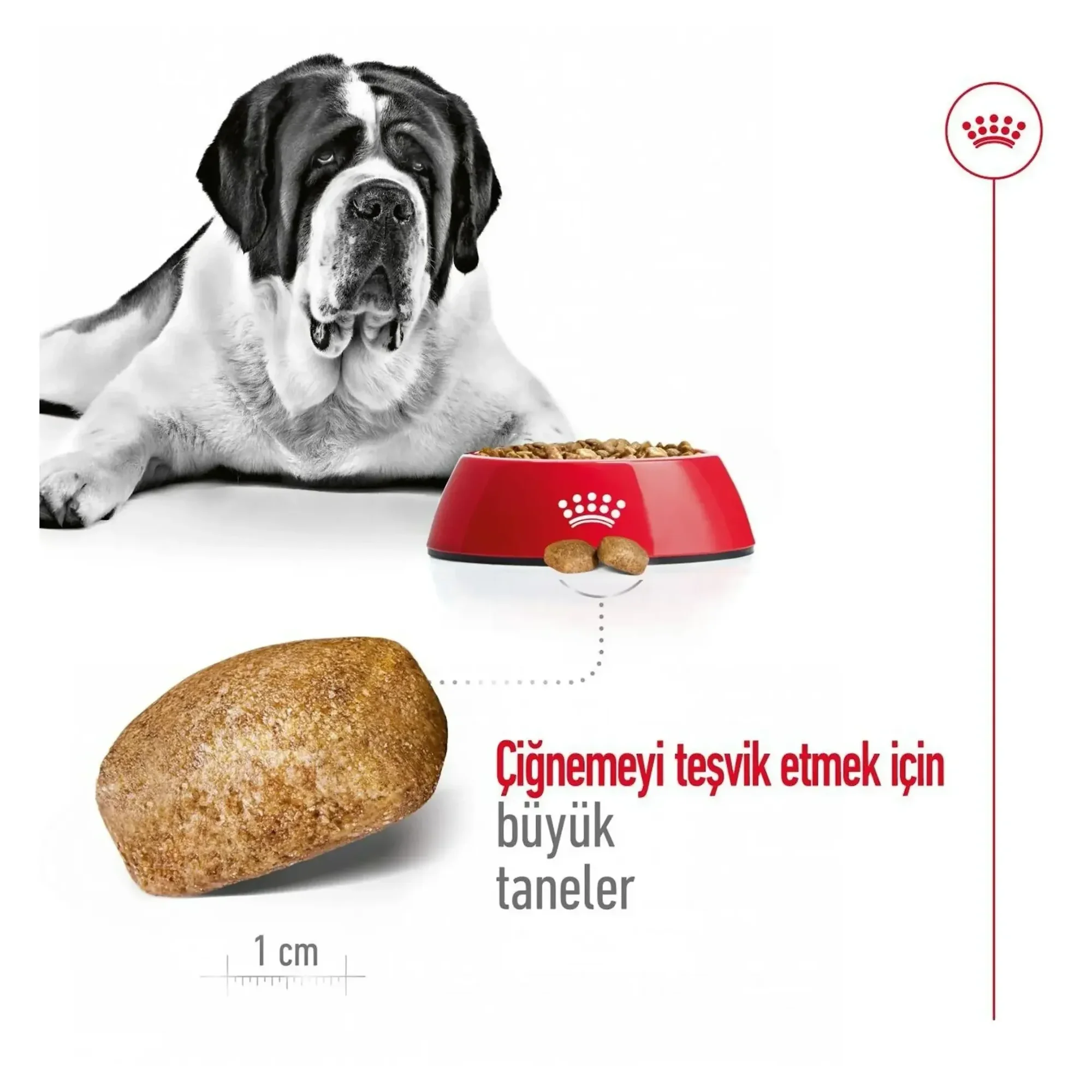 Royal Canin Royal Canin Giant Adult Yetişkin Köpek Maması 15 KG — Normal, 15.2 kg — Görsel 4
