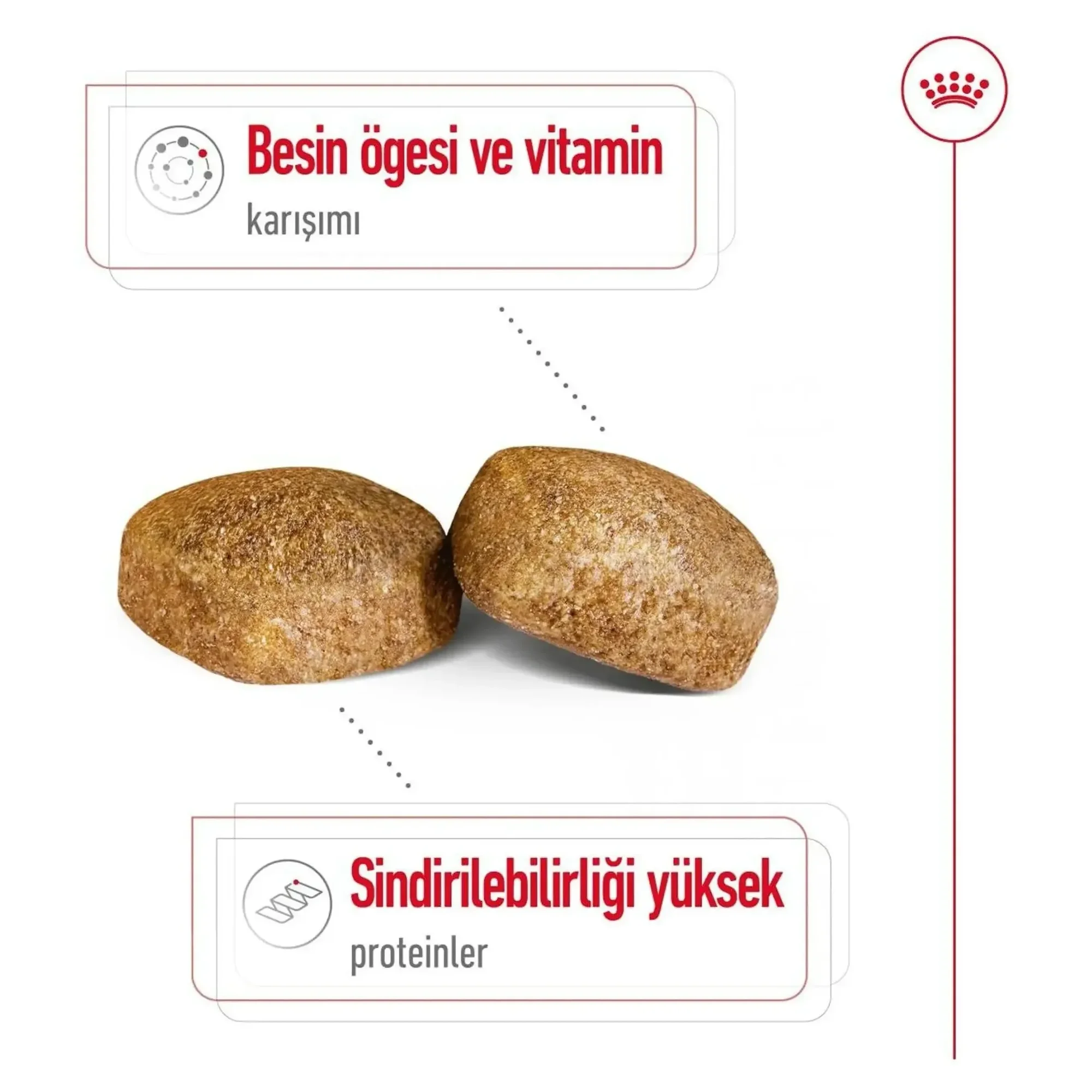 Royal Canin Royal Canin Giant Adult Yetişkin Köpek Maması 15 KG — Normal, 15.2 kg — Görsel 5