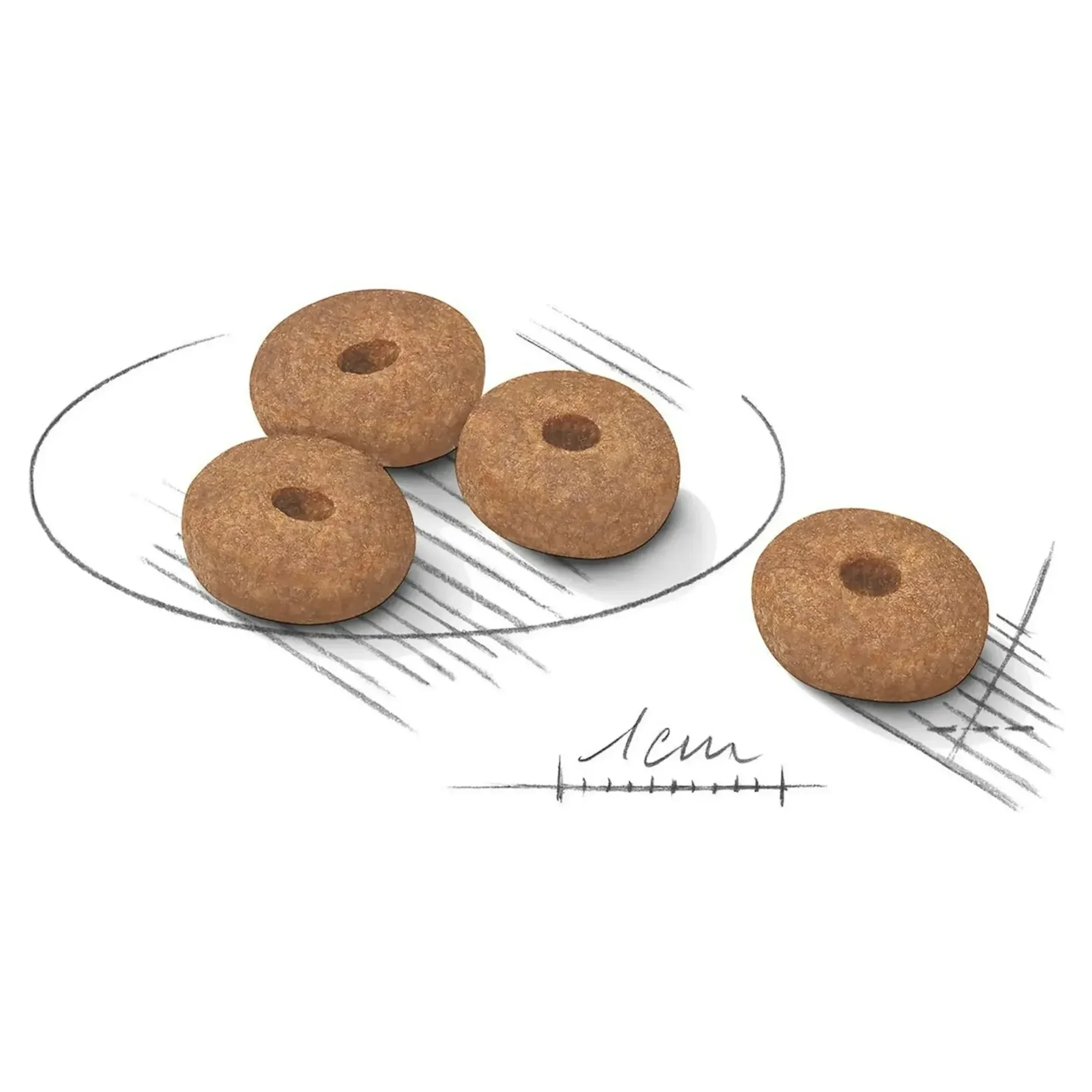 Royal Canin Royal Canin Mini Light Weight Care Yetişkin Köpek Maması 3 KG — Diyet, 3.2 kg — Görsel 2