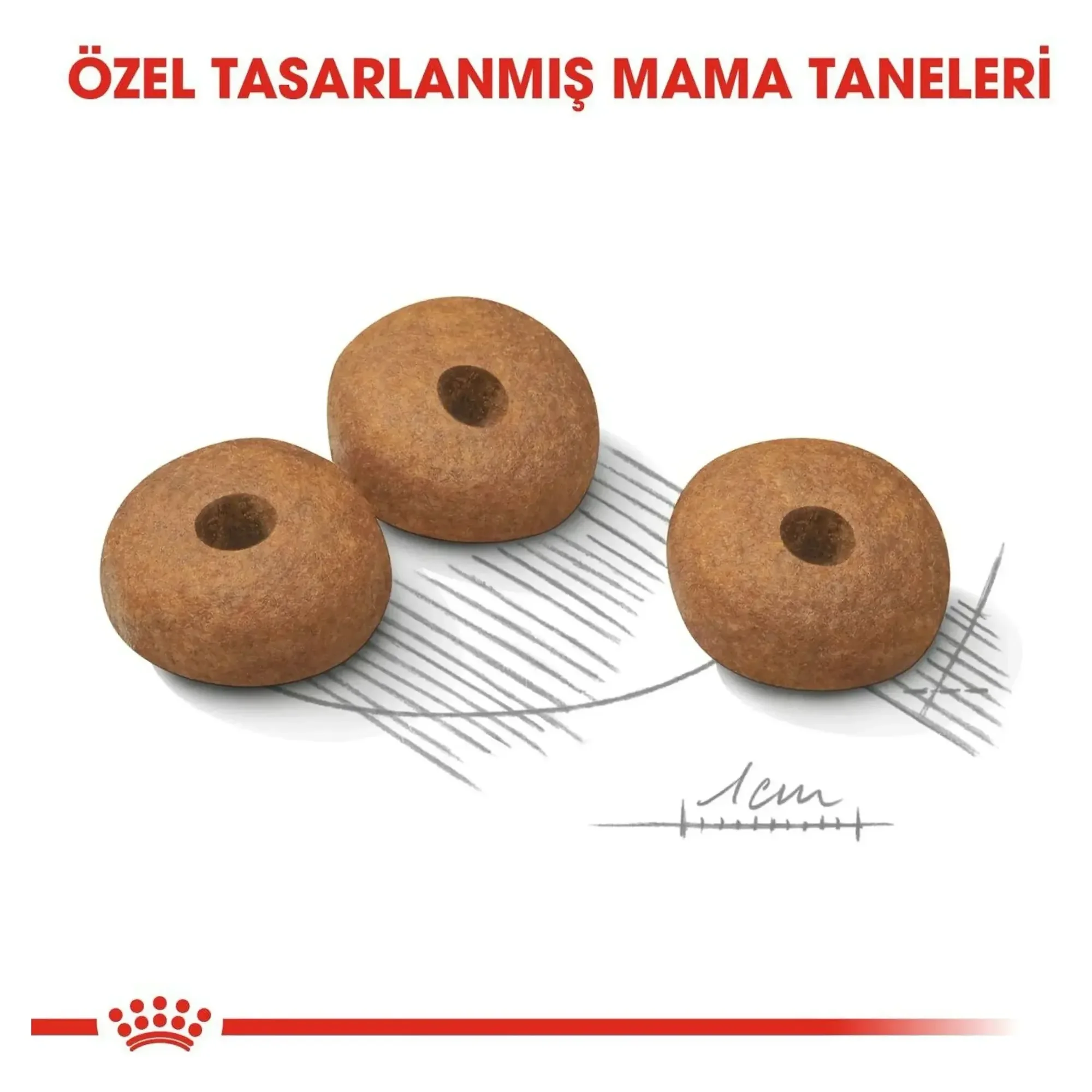 Royal Canin Royal Canin Mini Light Weight Care Yetişkin Köpek Maması 3 KG — Diyet, 3.2 kg — Görsel 4