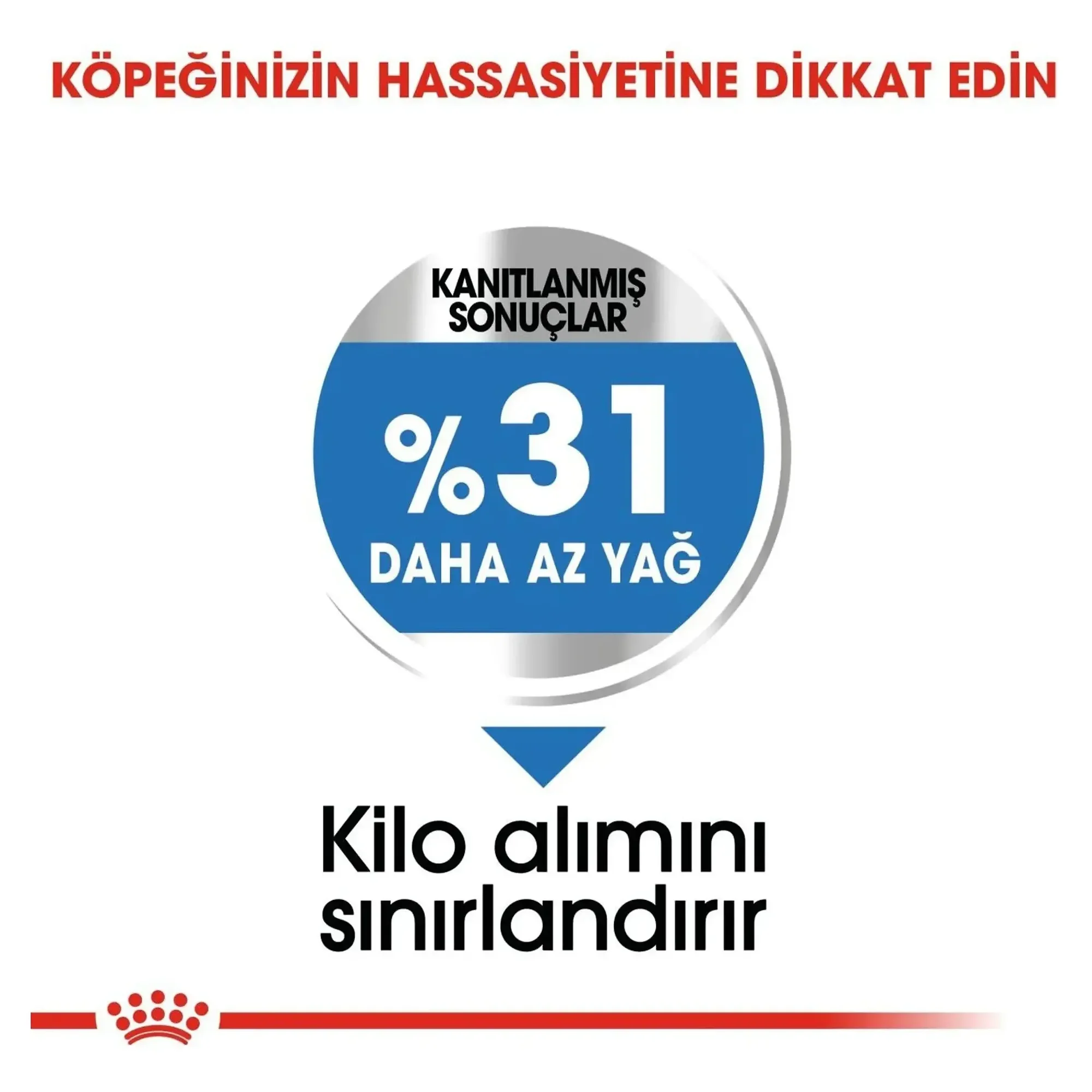 Royal Canin Royal Canin Mini Light Weight Care Yetişkin Köpek Maması 3 KG — Diyet, 3.2 kg — Görsel 6