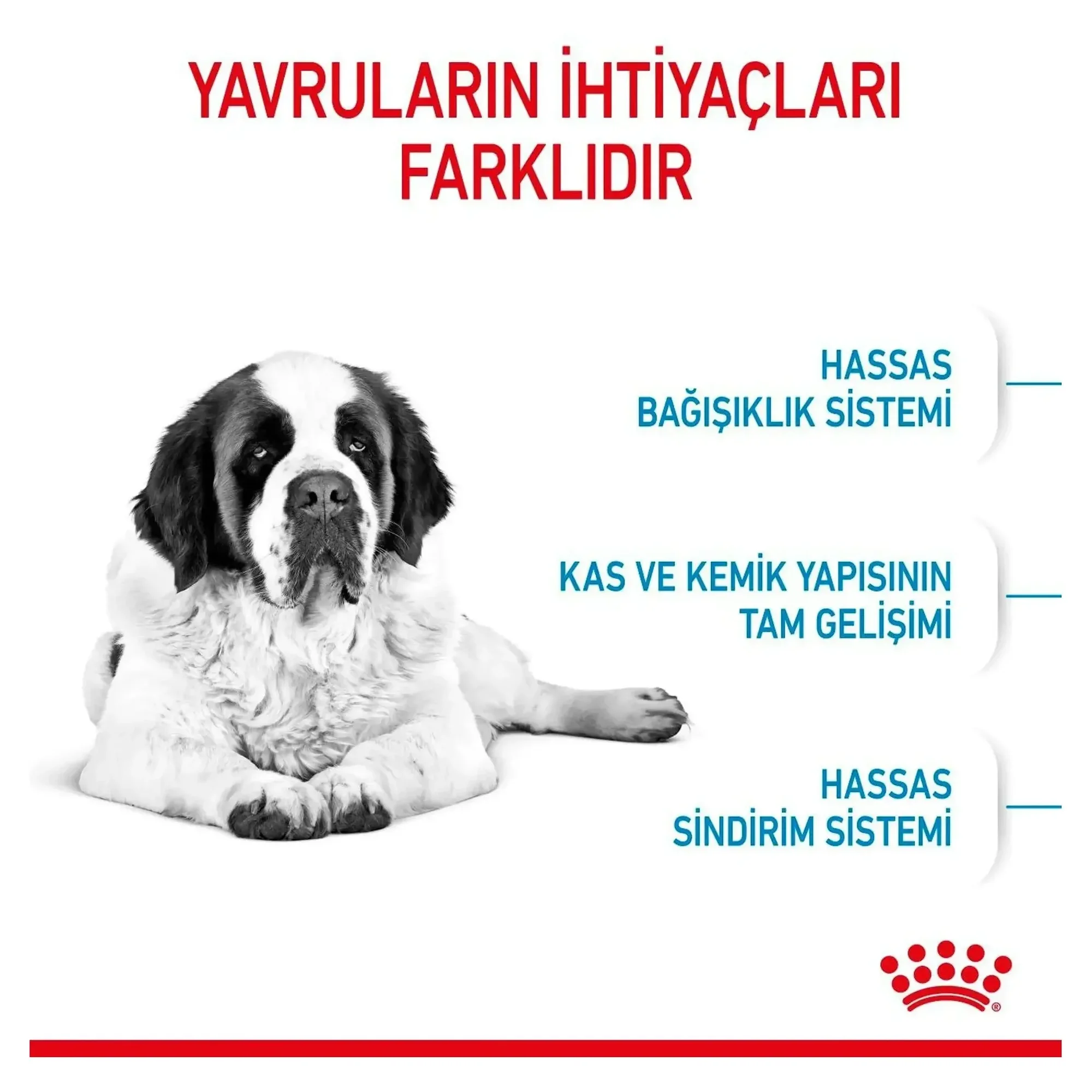 Royal Canin Royal Canin Junior Giant Büyük Irk Yavru Köpek Maması 15 KG — Normal, 15.3 kg — Görsel 5