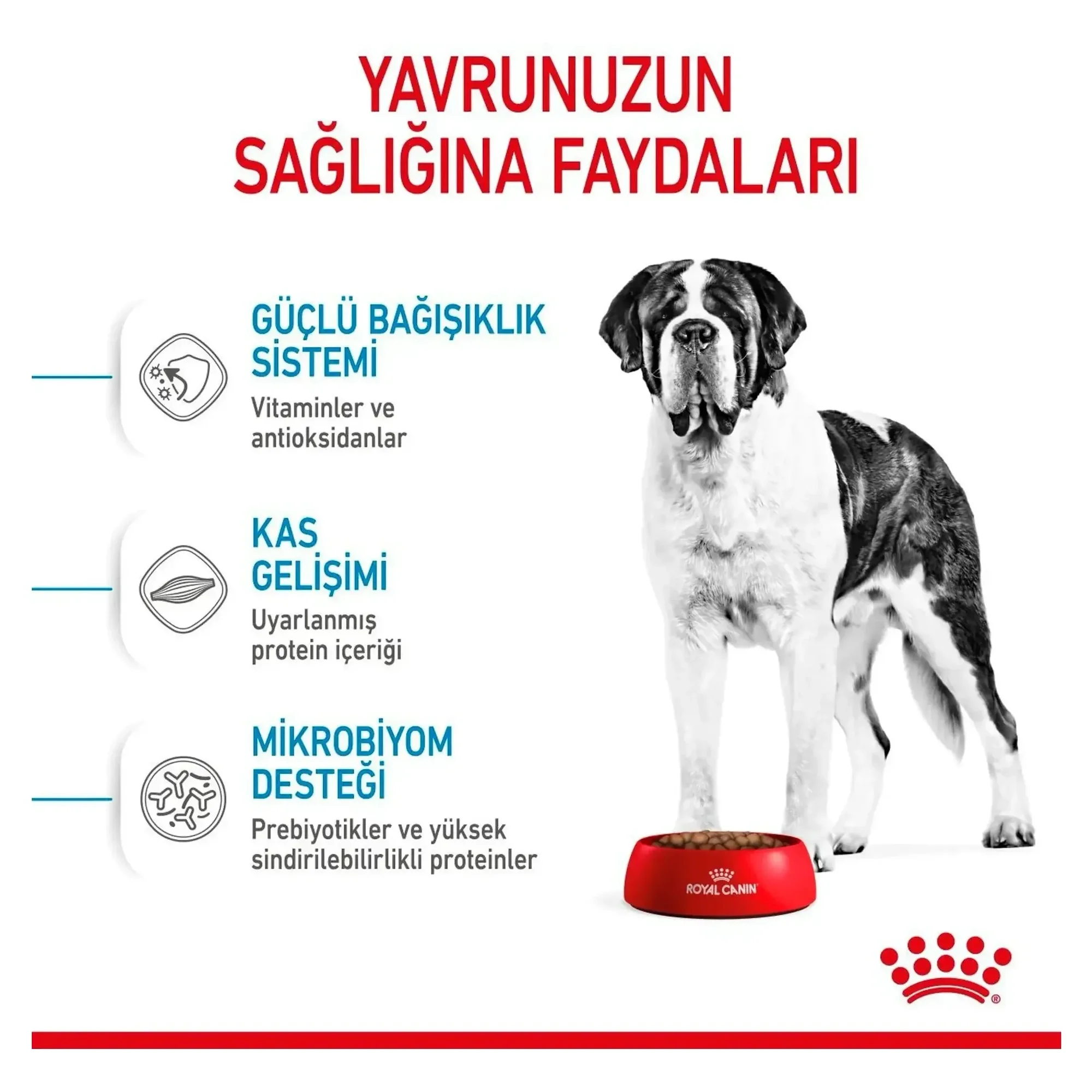 Royal Canin Royal Canin Junior Giant Büyük Irk Yavru Köpek Maması 15 KG — Normal, 15.3 kg — Görsel 6