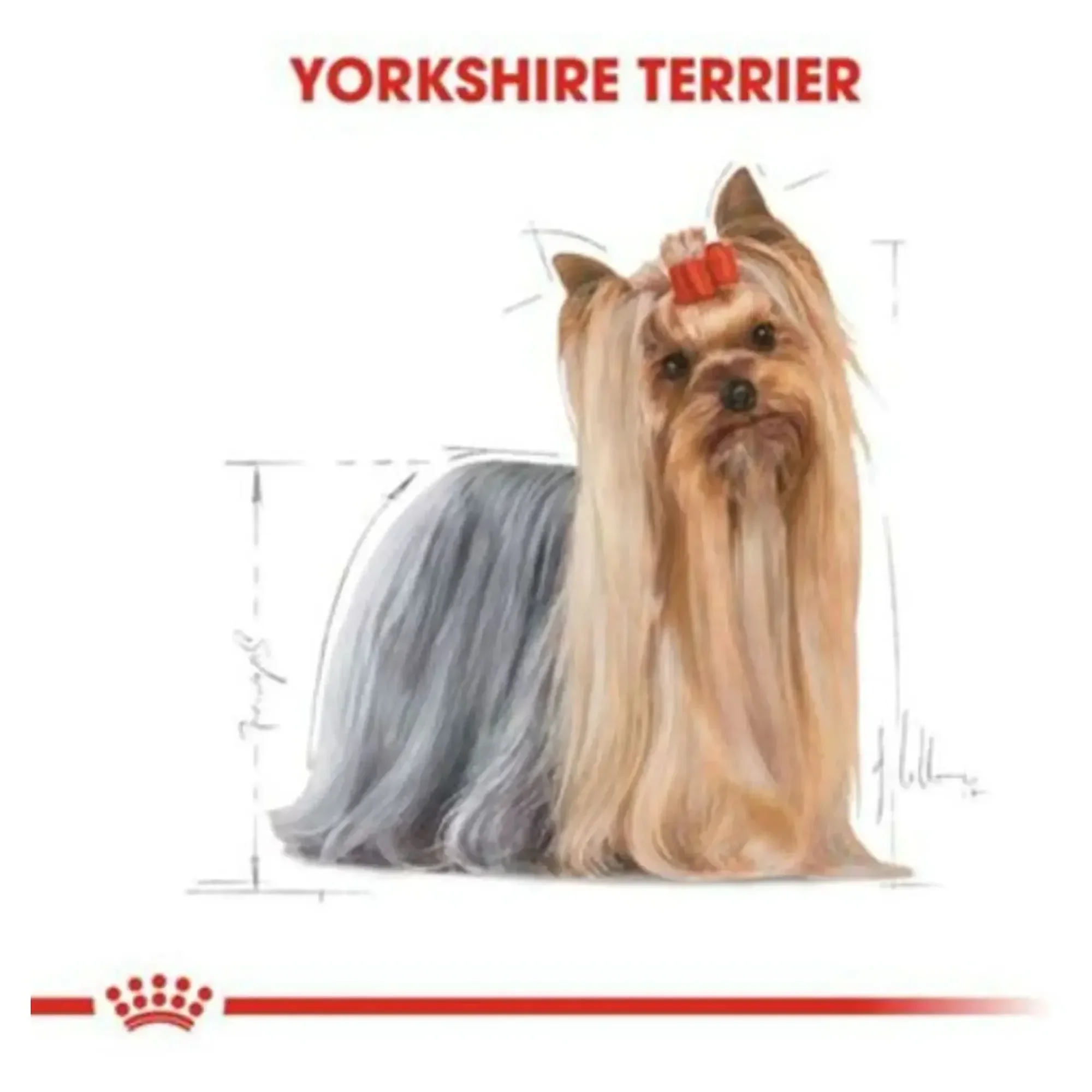 Royal Canin Royal Canin Yorkshire Terrier Yetişkin Köpek Maması 1.5 KG — Normal, 1.6 kg — Görsel 3