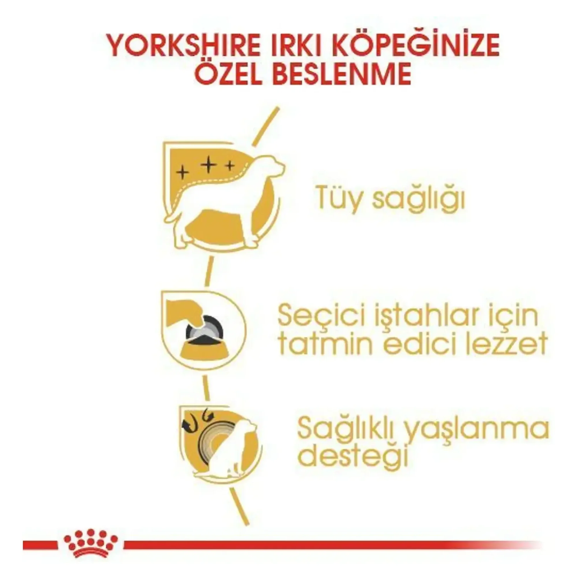 Royal Canin Royal Canin Yorkshire Terrier Yetişkin Köpek Maması 1.5 KG — Normal, 1.6 kg — Görsel 4
