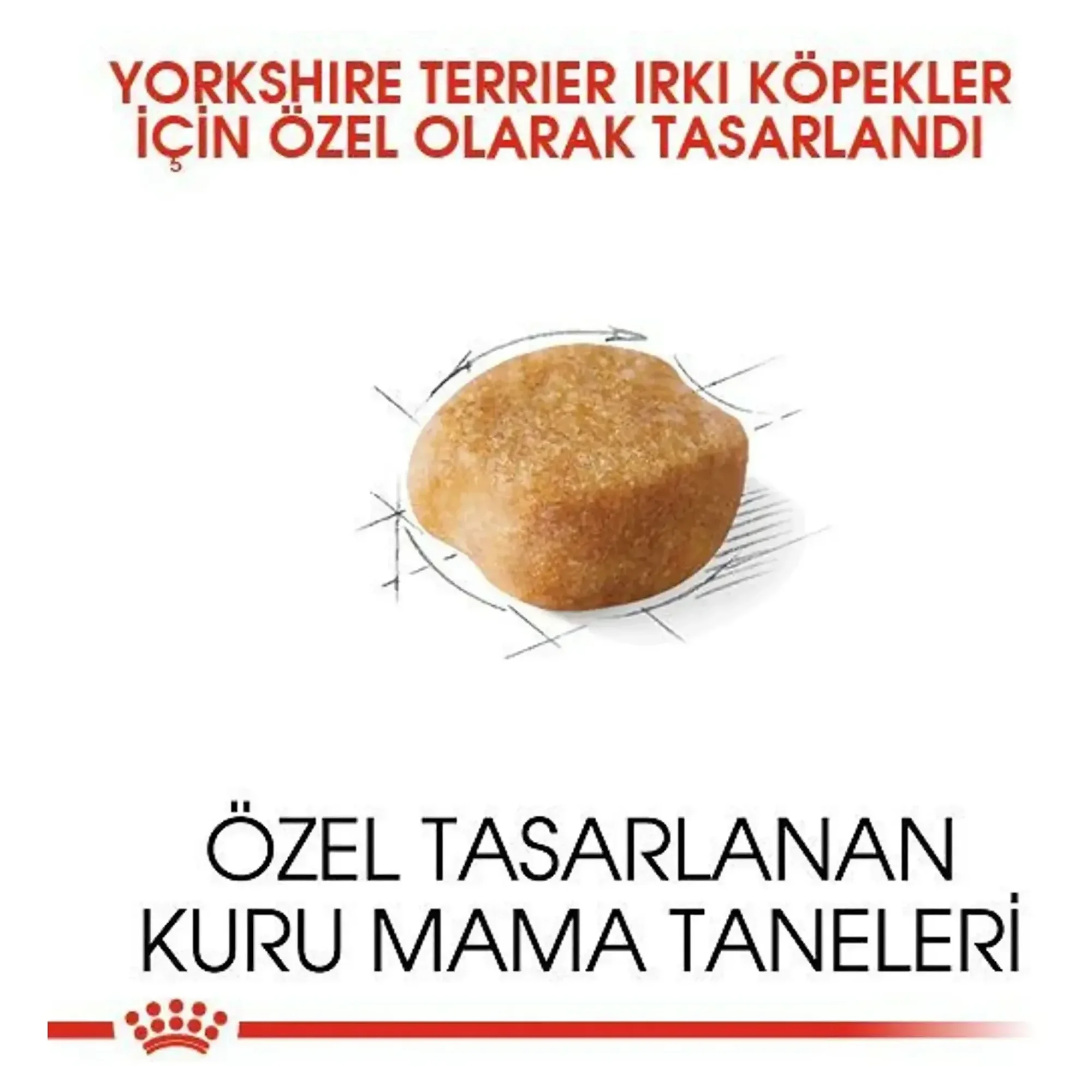 Royal Canin Royal Canin Yorkshire Terrier Yetişkin Köpek Maması 1.5 KG — Normal, 1.6 kg — Görsel 5