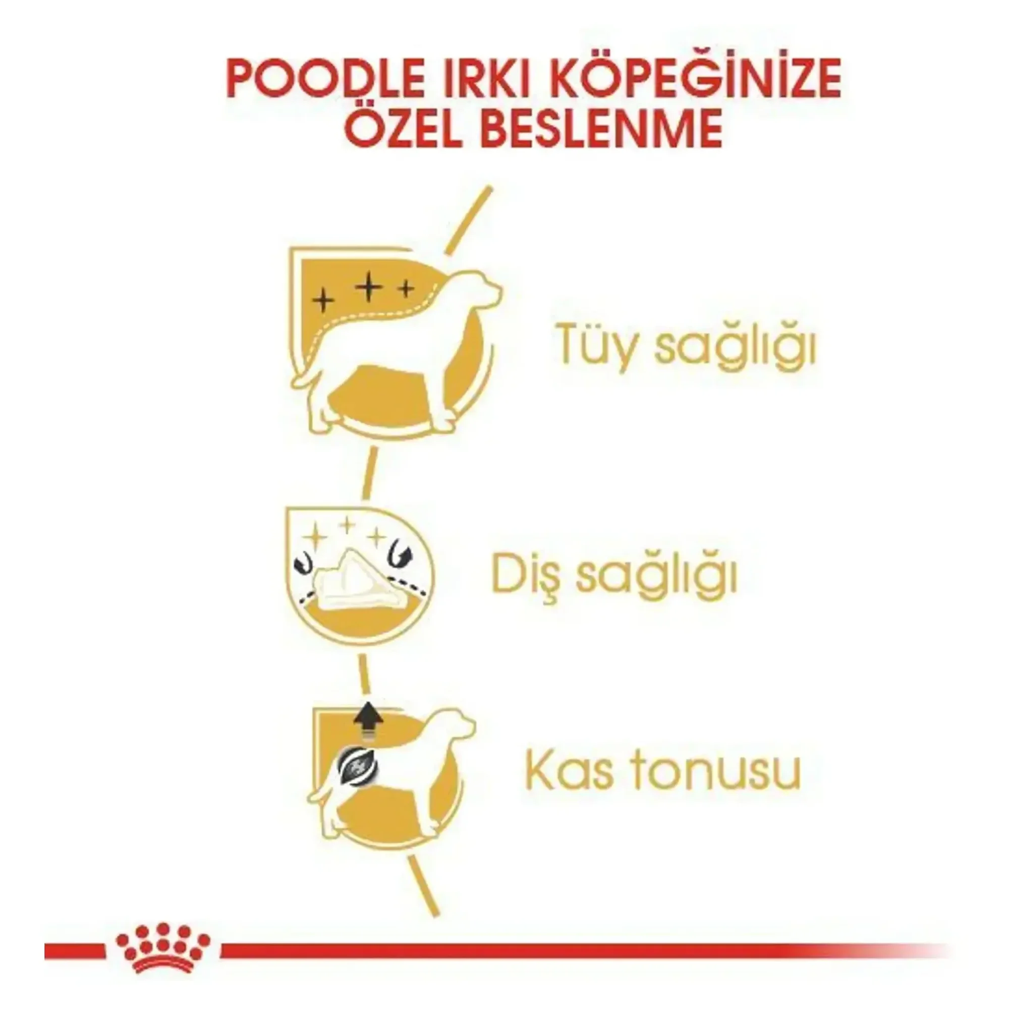 Royal Canin Royal Canin Poodle Yetişkin Köpek Maması 3 KG — Normal, 3.1 kg — Görsel 4