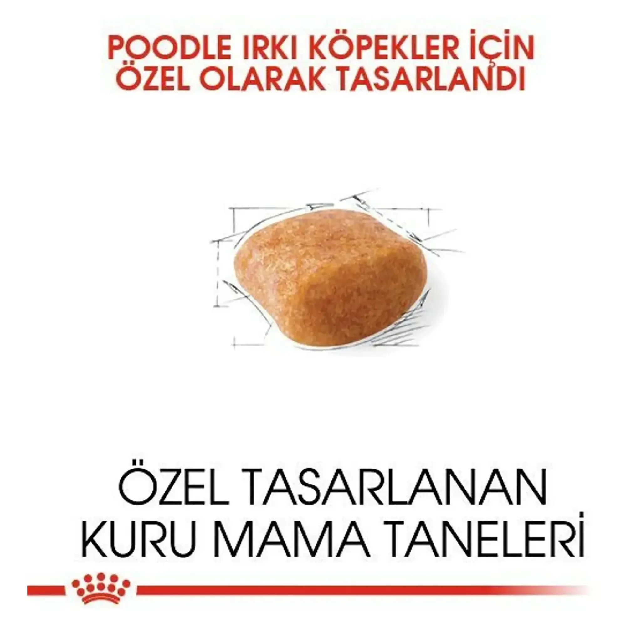 Royal Canin Royal Canin Poodle Yetişkin Köpek Maması 3 KG — Normal, 3.1 kg — Görsel 5