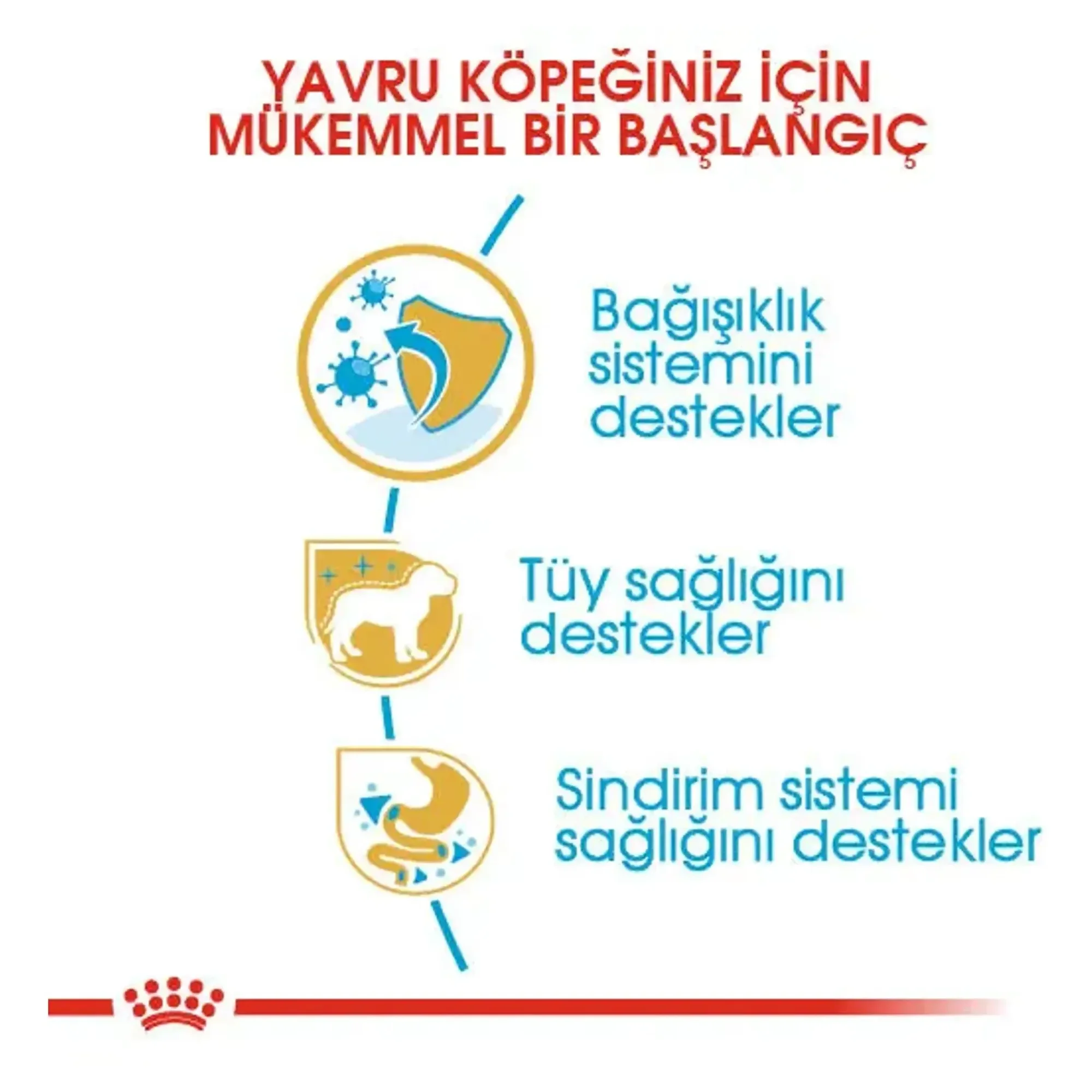 Royal Canin Royal Canin Poodle Junior Yavru Köpek Maması 3 KG — Normal, 3.1 kg — Görsel 3