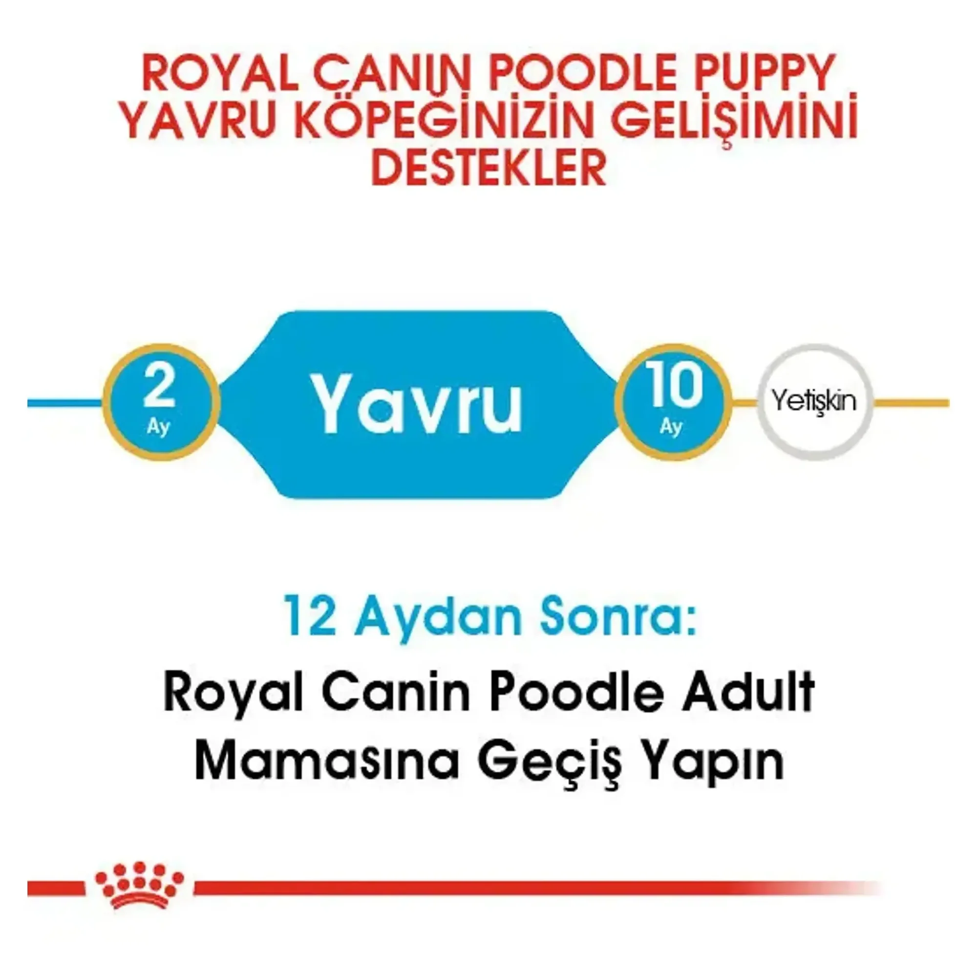 Royal Canin Royal Canin Poodle Junior Yavru Köpek Maması 3 KG — Normal, 3.1 kg — Görsel 4