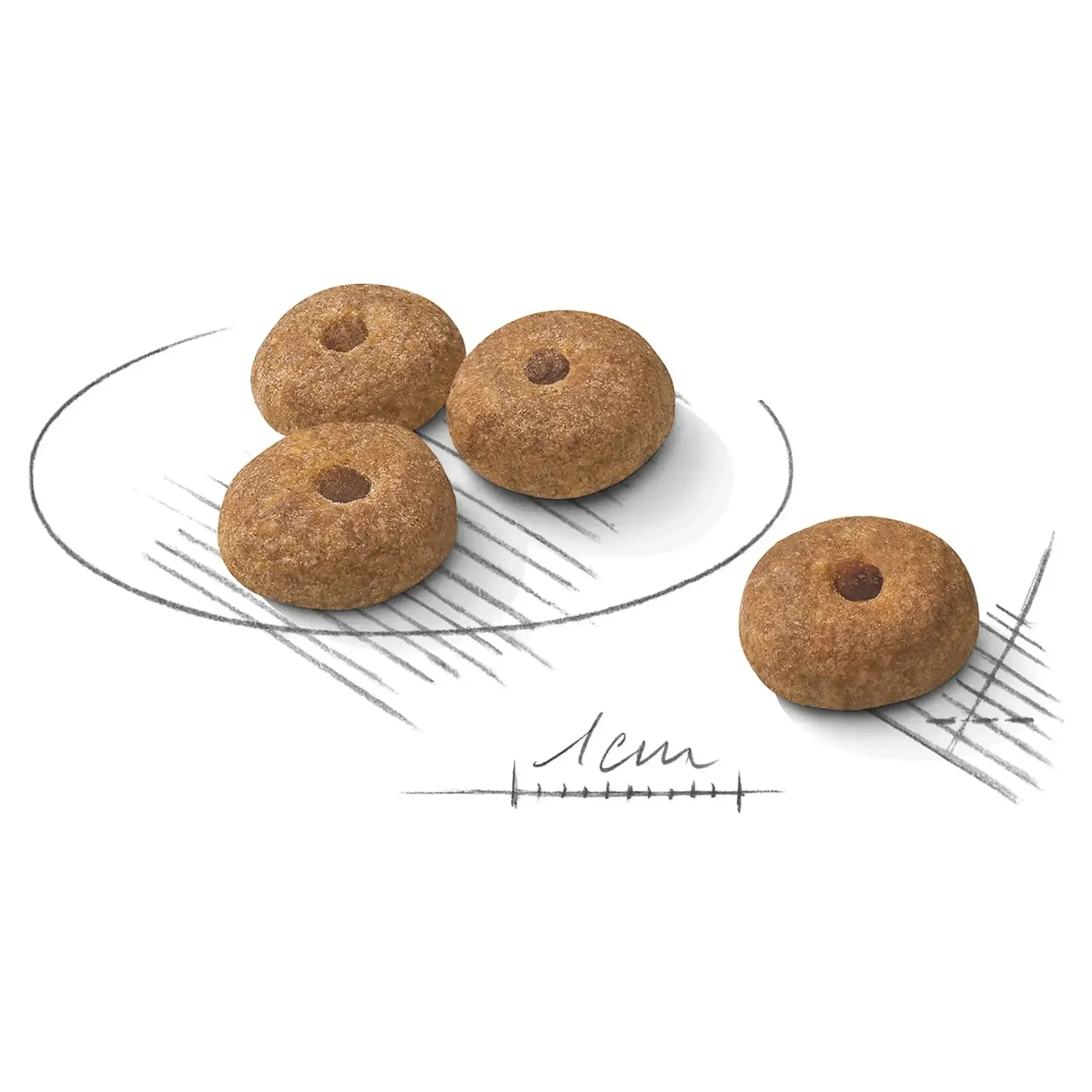 Royal Canin Royal Canin Mini Sterilised Kısırlaştırılmış Yetişkin Köpek Maması 3 KG — 3.1 kg — Görsel 2