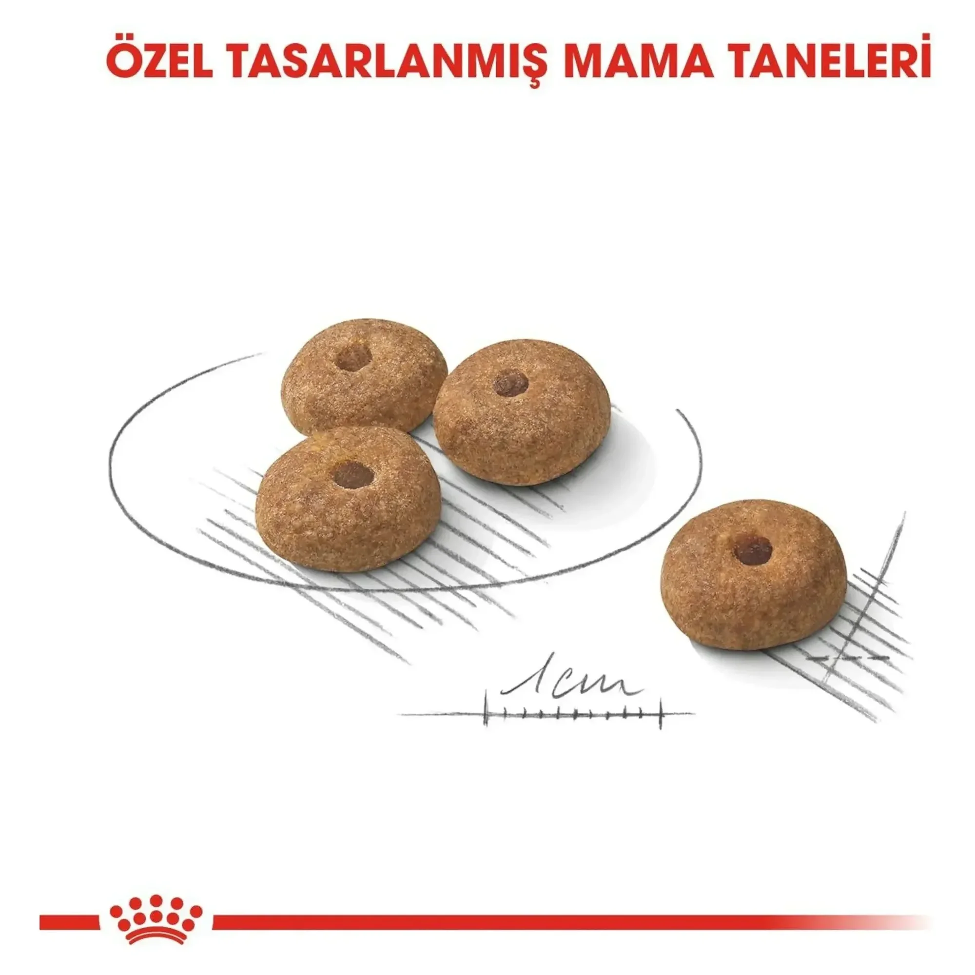 Royal Canin Royal Canin Mini Sterilised Kısırlaştırılmış Yetişkin Köpek Maması 3 KG — 3.1 kg — Görsel 3