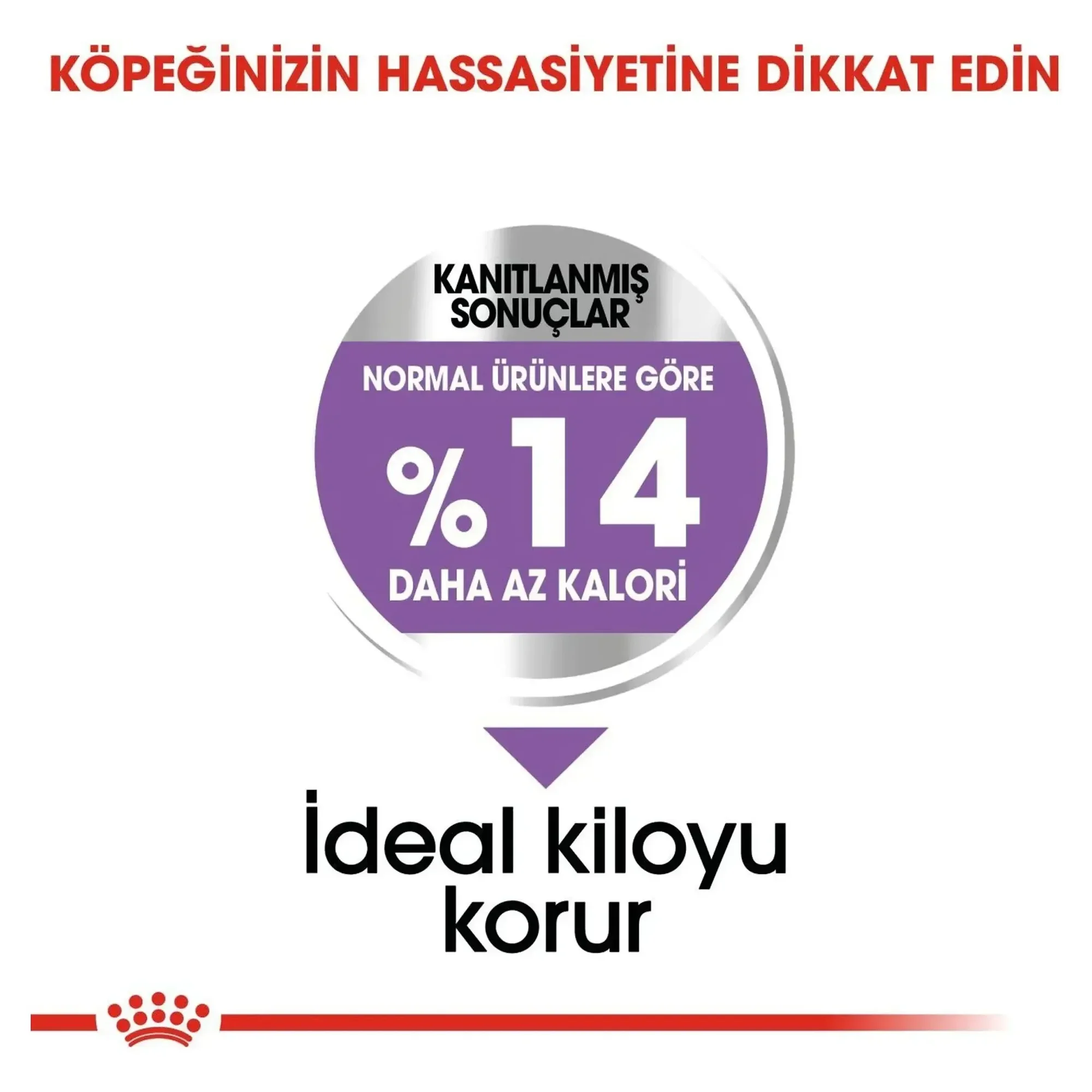 Royal Canin Royal Canin Mini Sterilised Kısırlaştırılmış Yetişkin Köpek Maması 3 KG — 3.1 kg — Görsel 4