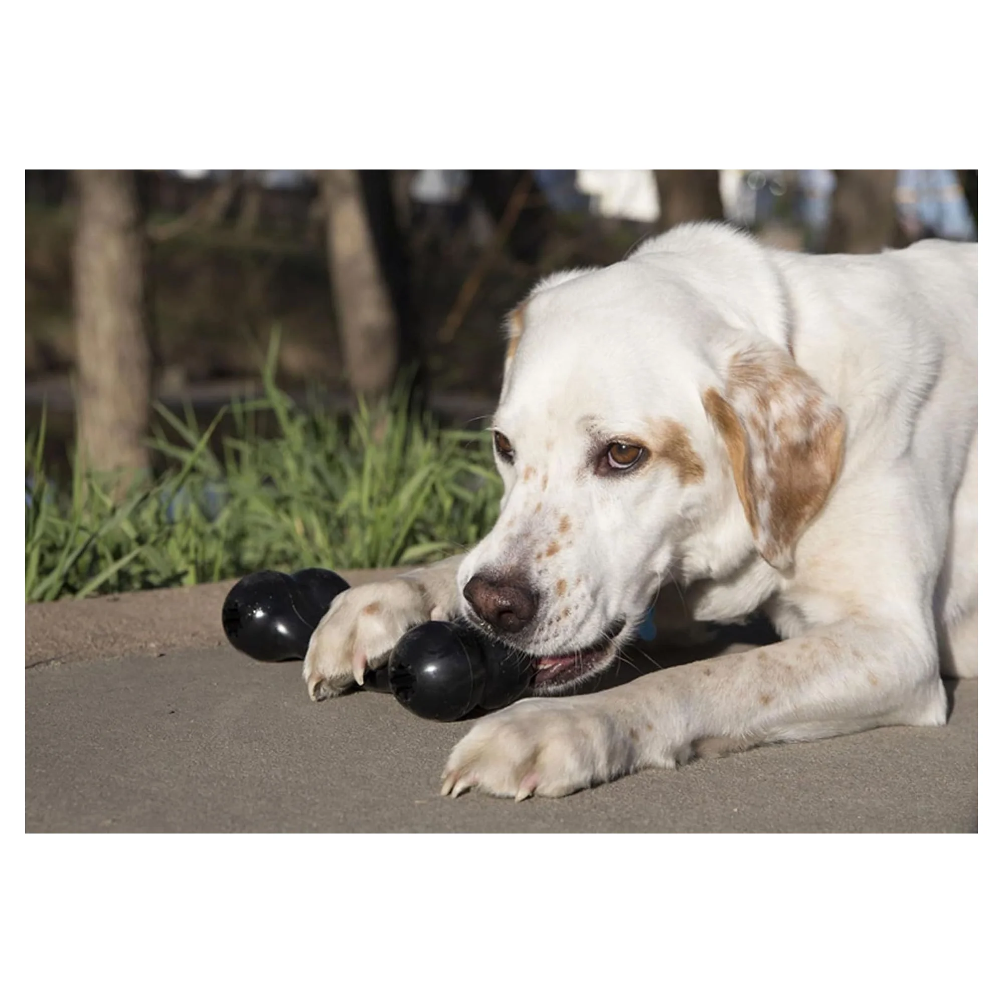 Kong Extreme Goodie Bone Kemik Şeklinde Çok Amaçlı Köpek Oyuncağı Ultra Sert M — Plastik ve Kauçuk Oyuncaklar, 220 g — Görsel 6