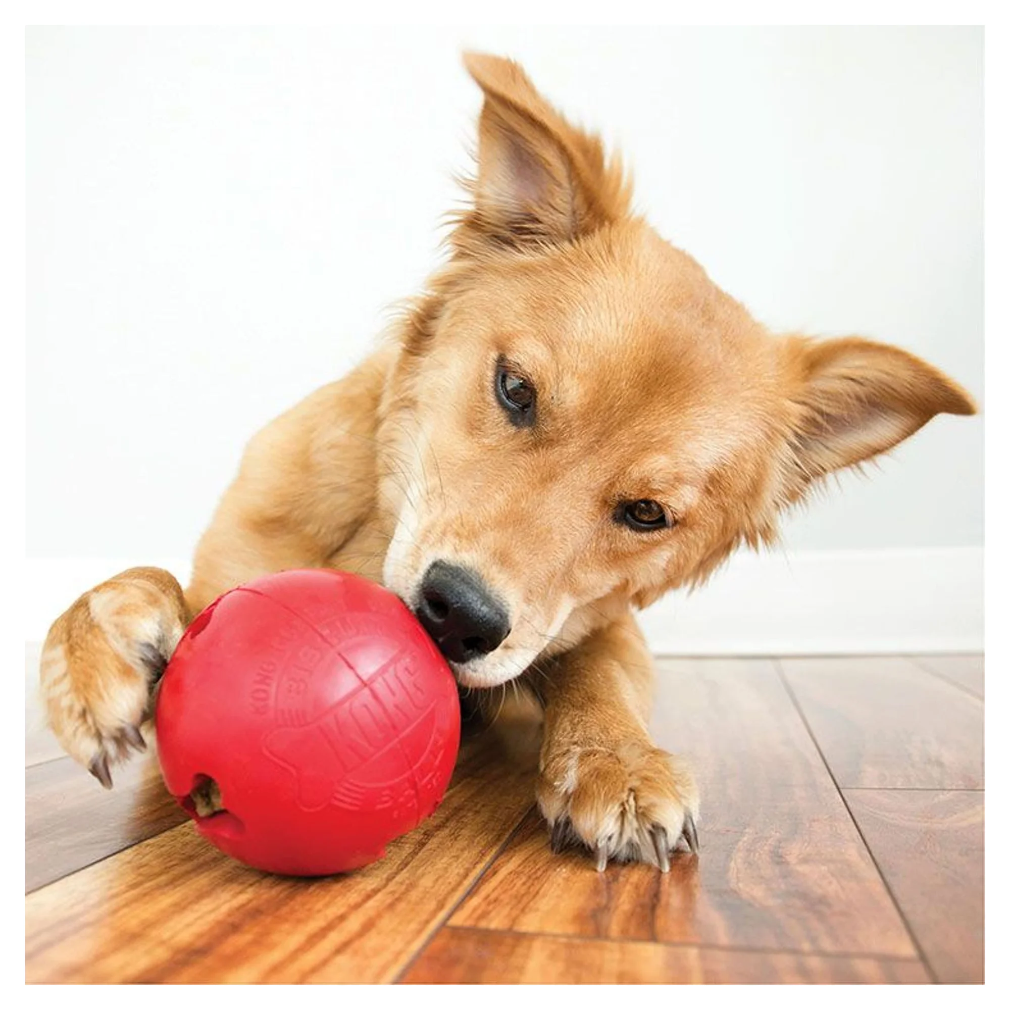 Kong Kong Biscuit Ball Top Şeklinde  Köpek Oyuncağı L — Toplar, 330 g — Görsel 2