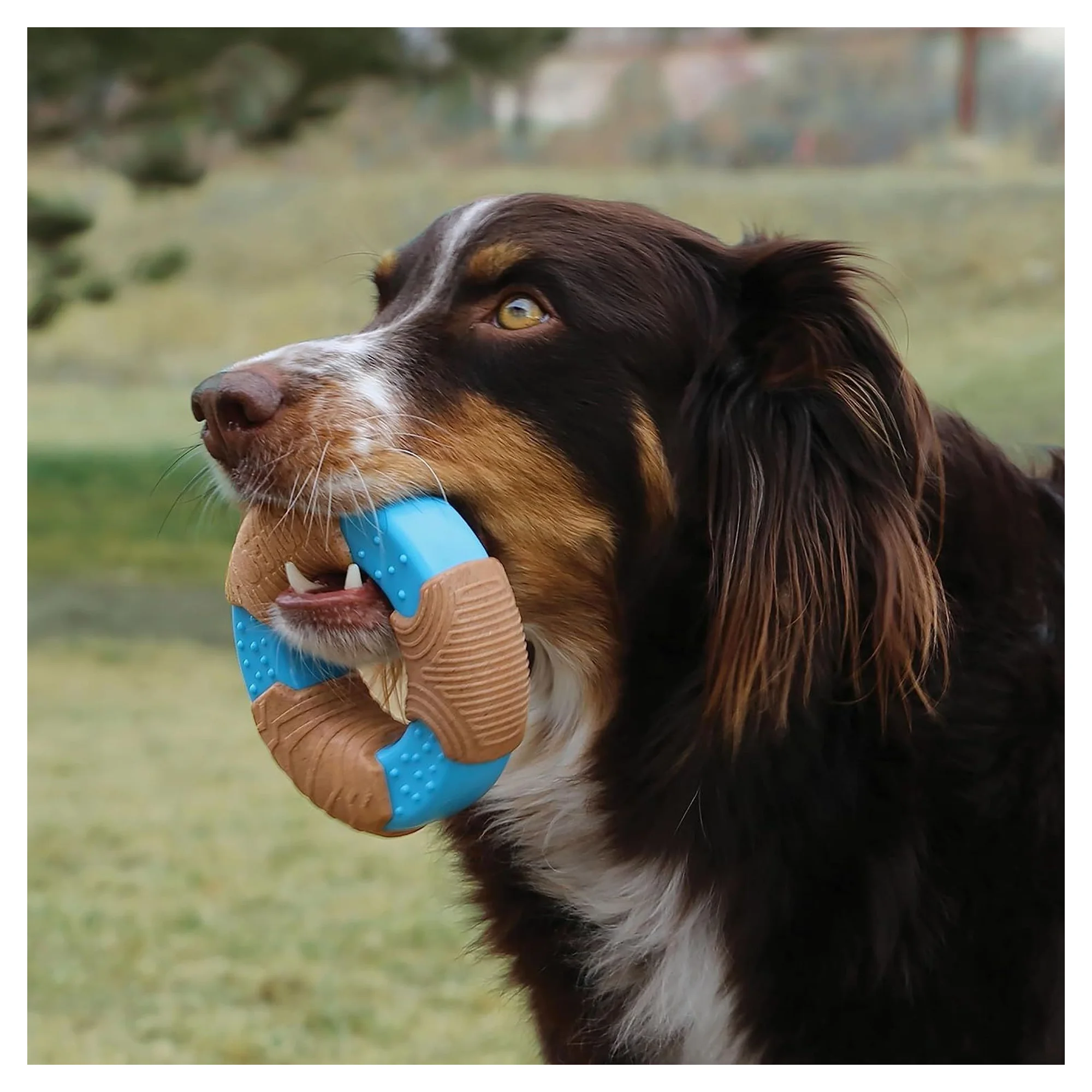 Kong CoreStrength Halka Şeklinde Plastik ve Kauçuk Köpek Oyuncağı S — Plastik ve Kauçuk Oyuncaklar, 210 g — Görsel 4