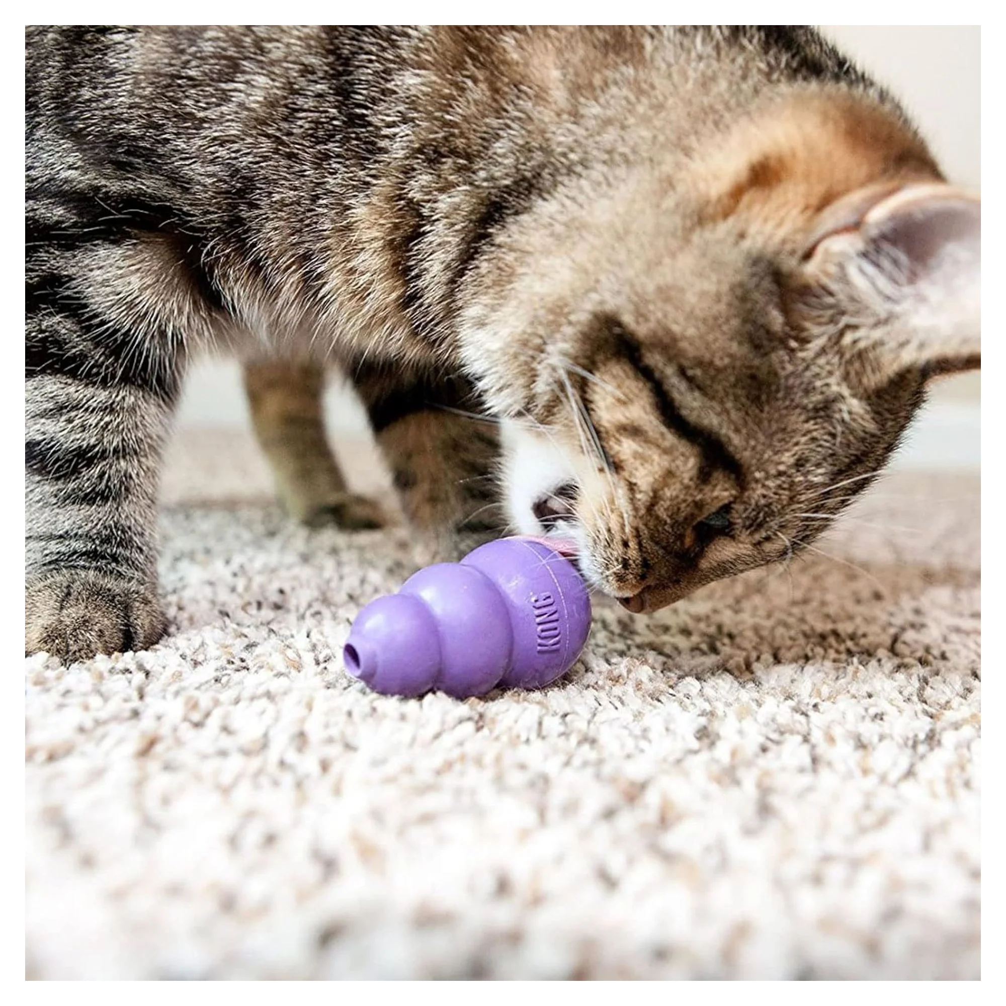Kong Kitty Klasik Kedi Oyuncağı — Kedi Naneli Oyuncaklar (Catnip), 120 g — Görsel 5